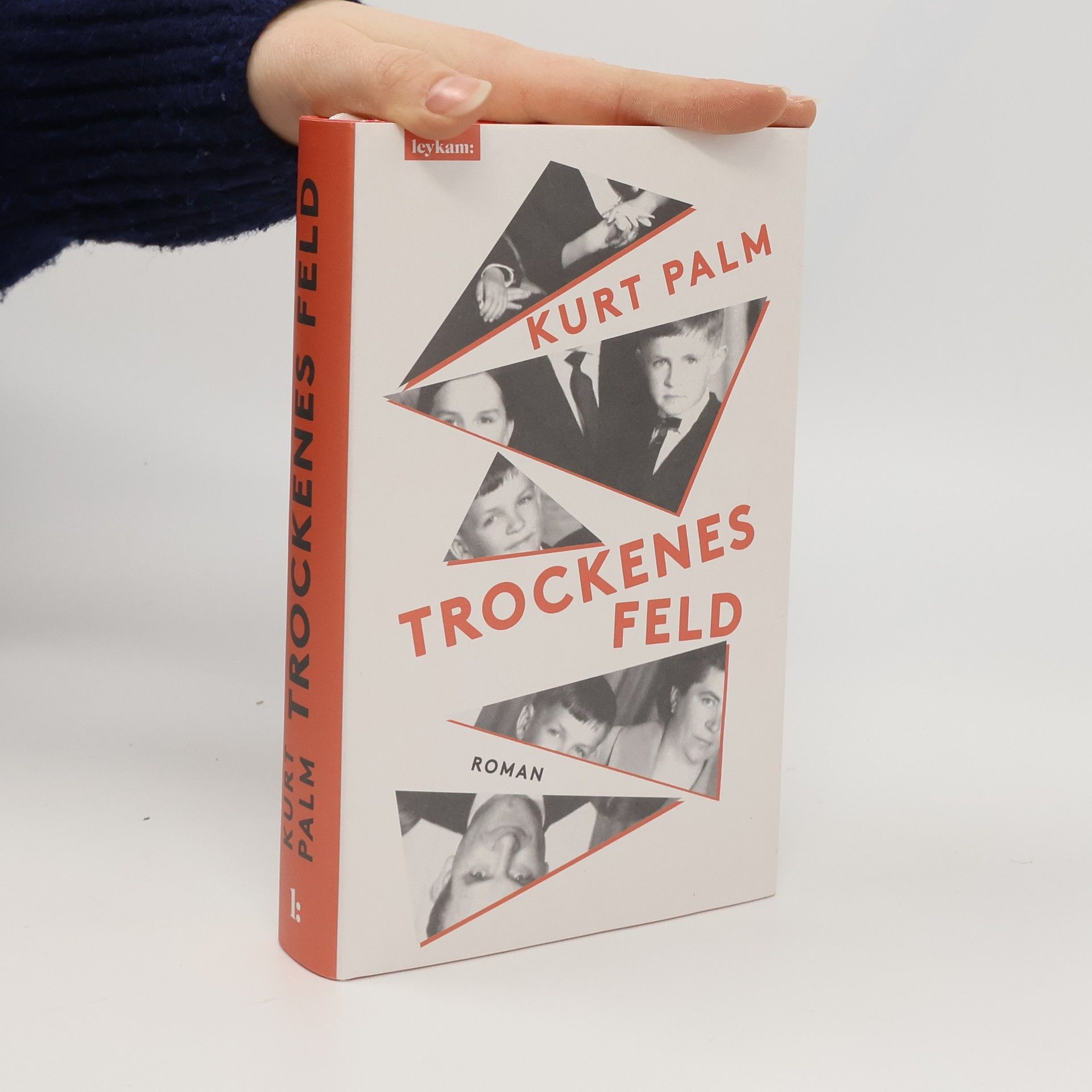 Kurt Palm Trockenes Feld. Roman