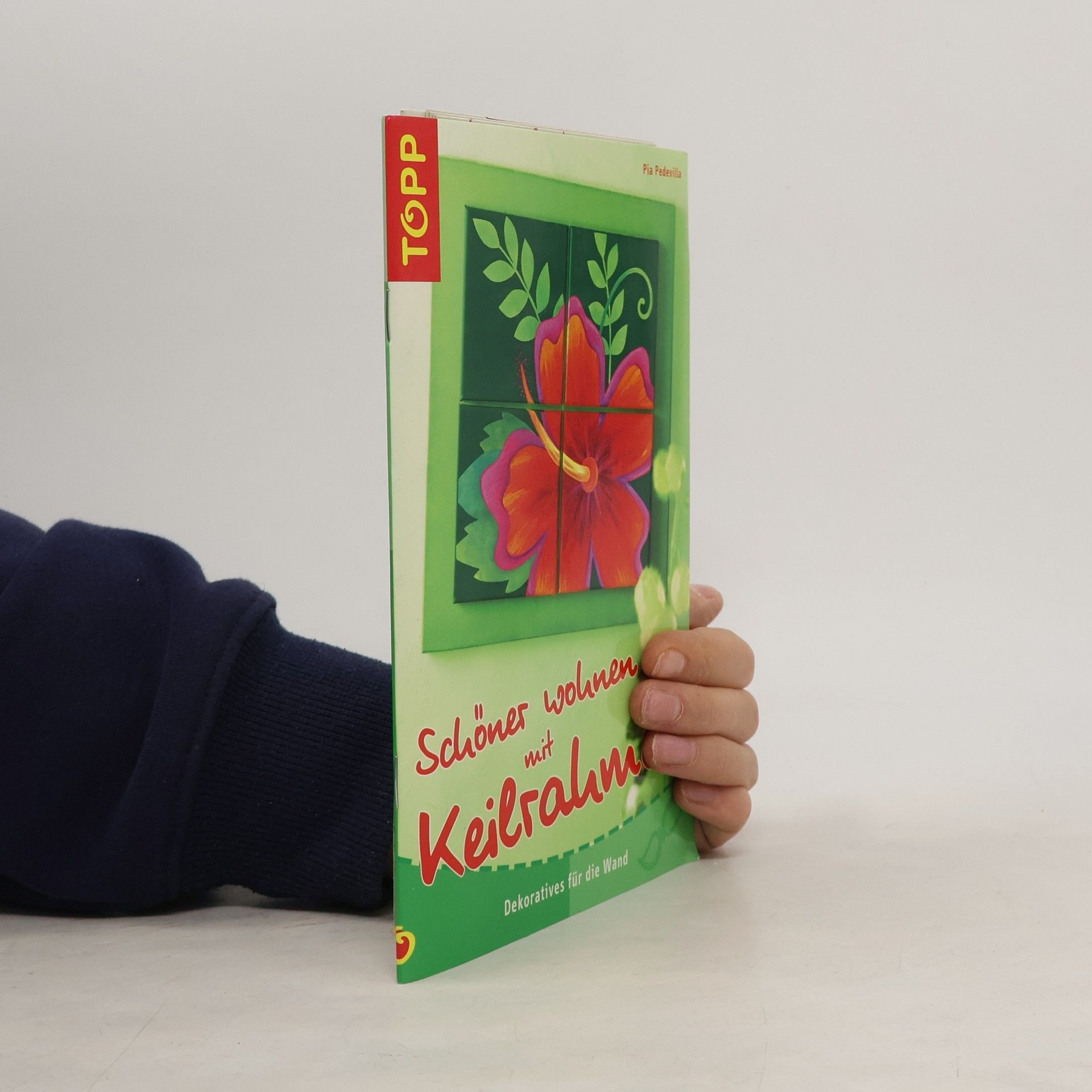 Pia Pedevilla Schöner wohnen mit Keilrahmen