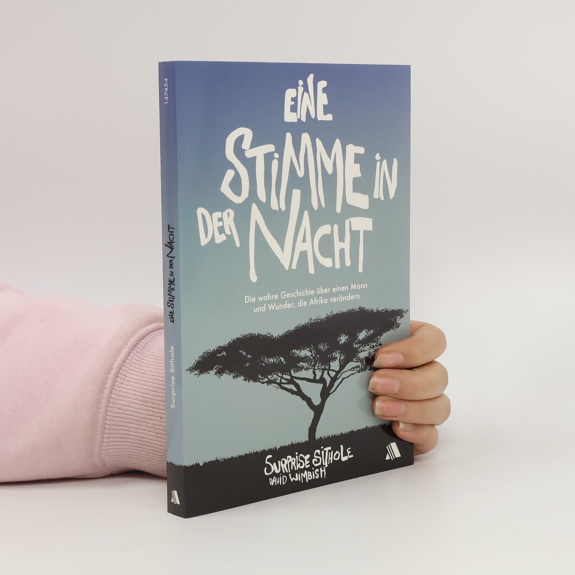 Surprise Sithole Eine Stimme in der Nacht