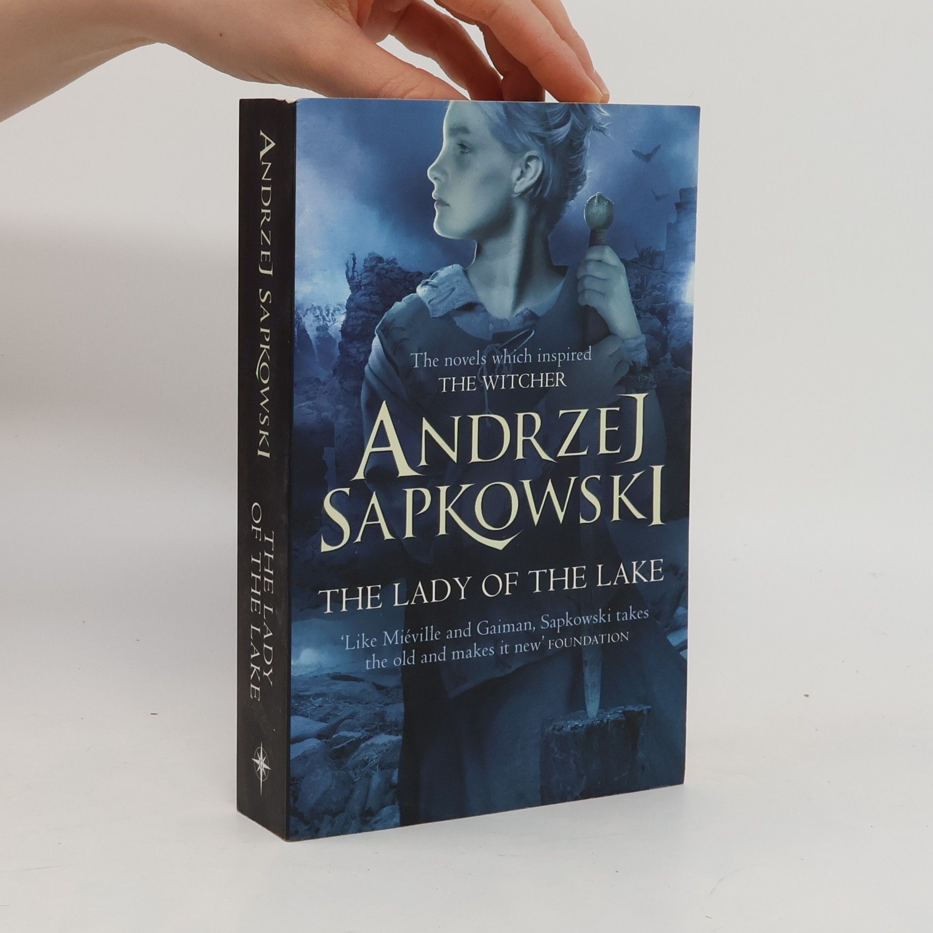 Andrzej Sapkowski The lady of the lake