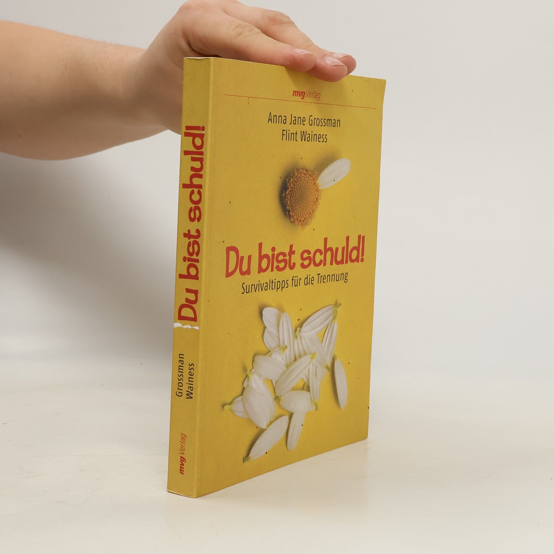 Anna Jane Grossman Du bist schuld!