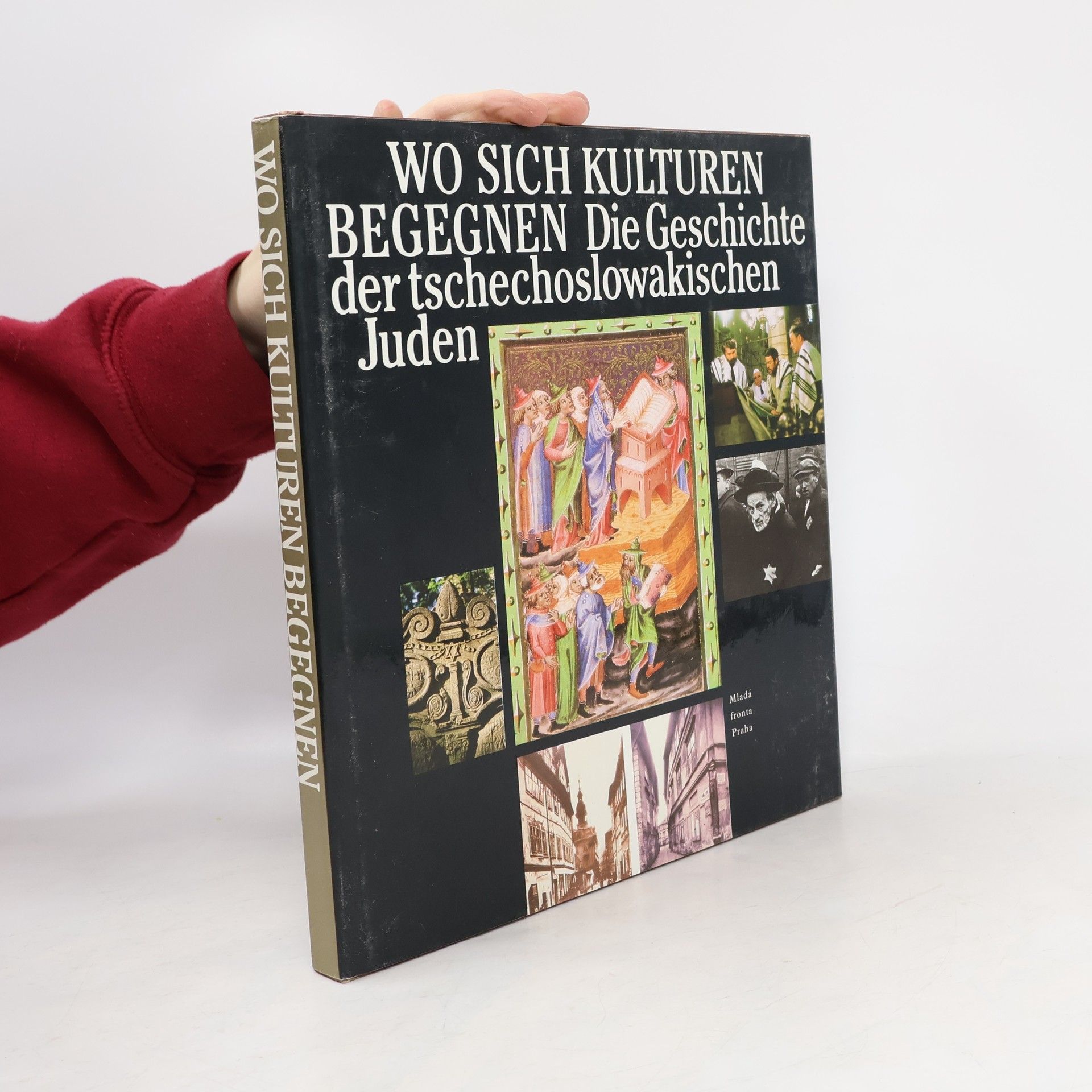 Natalia Berger Wo sich Kulturen begegnen. Die Geschichte der tschechoslowakischen Juden