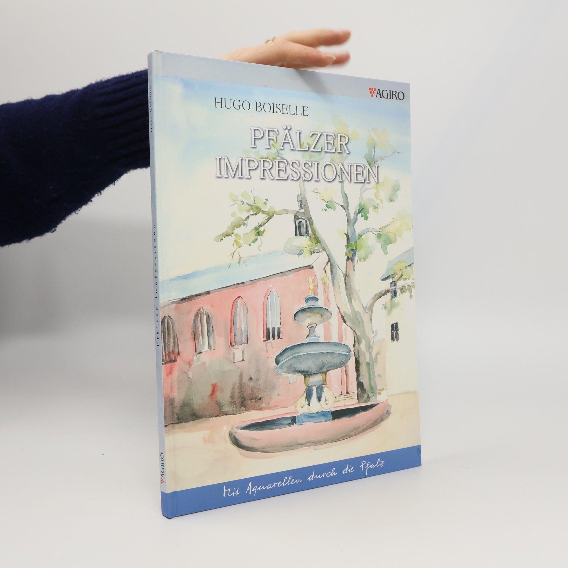 Hugo Boiselle Pfälzer Impressionen
