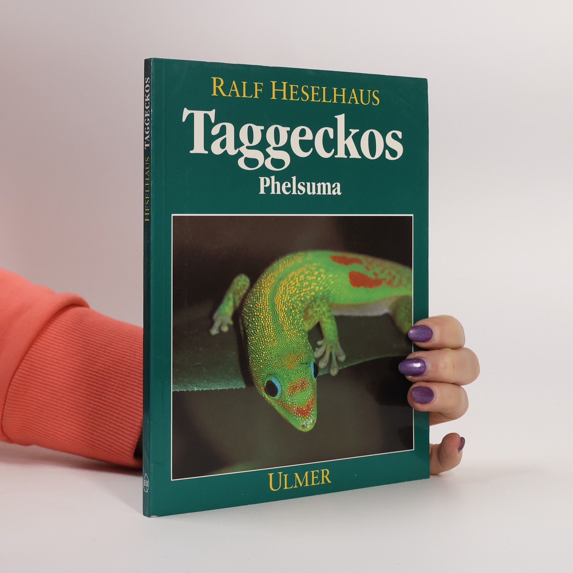 Ralf Heselhaus Taggeckos