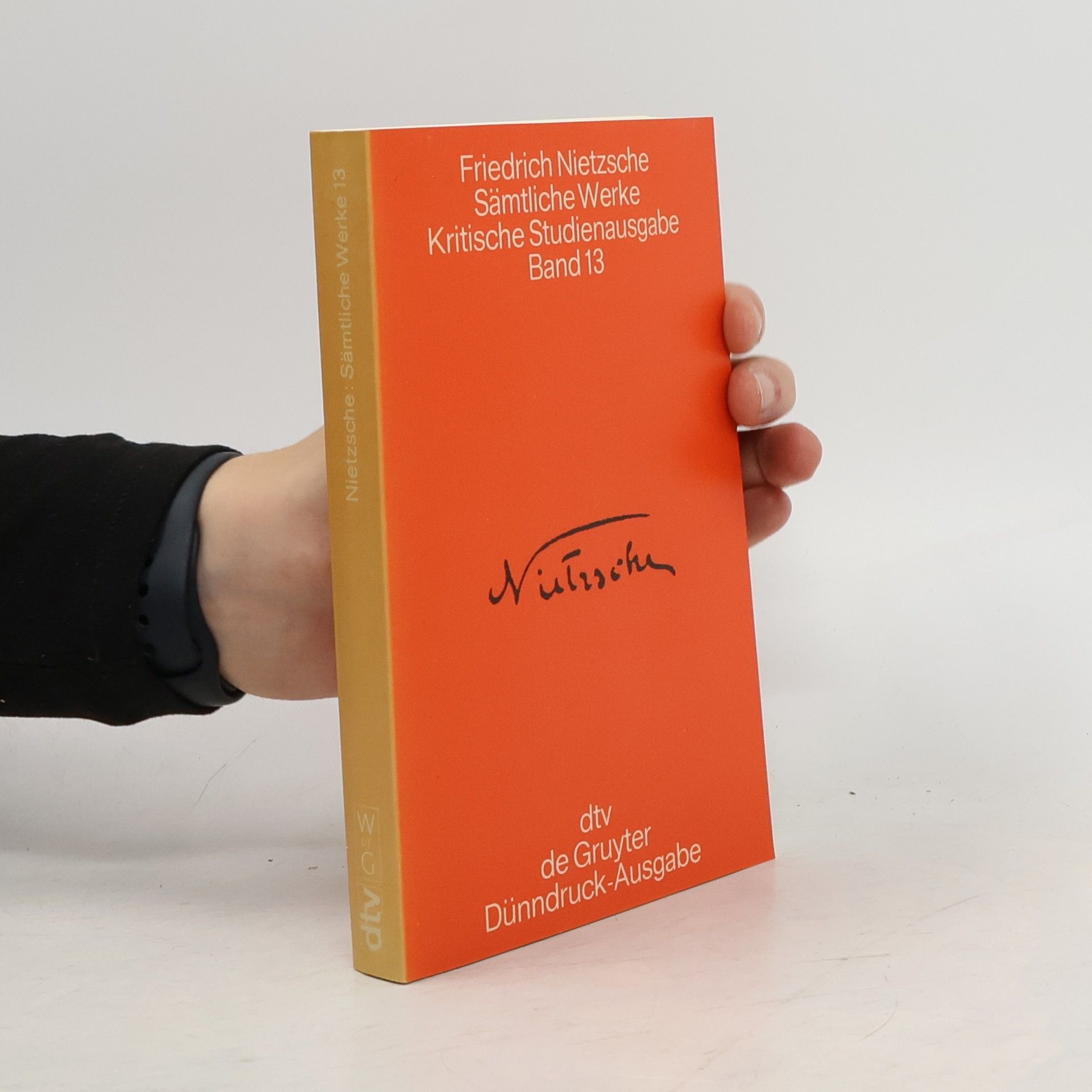 Friedrich Nietzsche Sämtliche Werke. Band 13