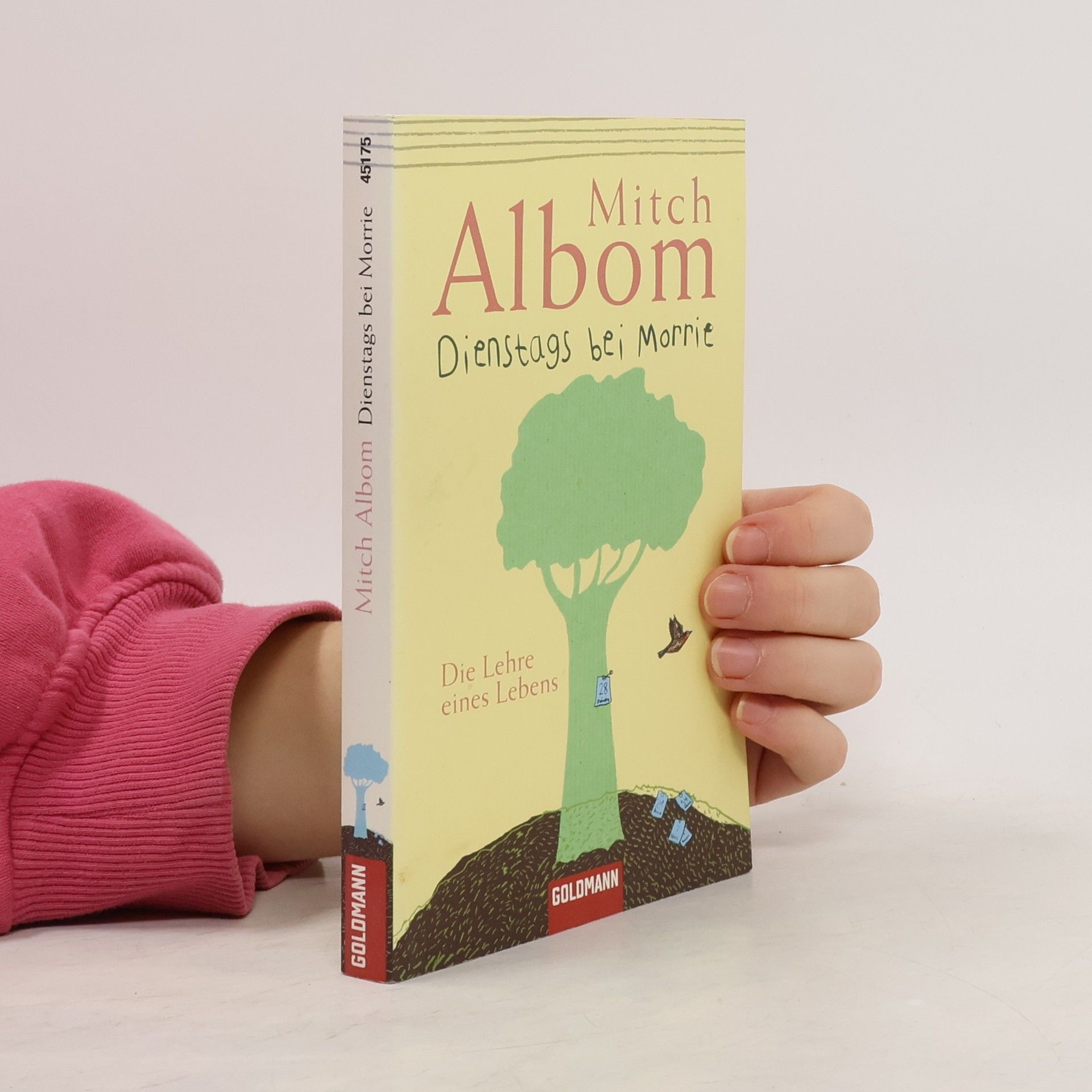 Dienstags bei Morrie