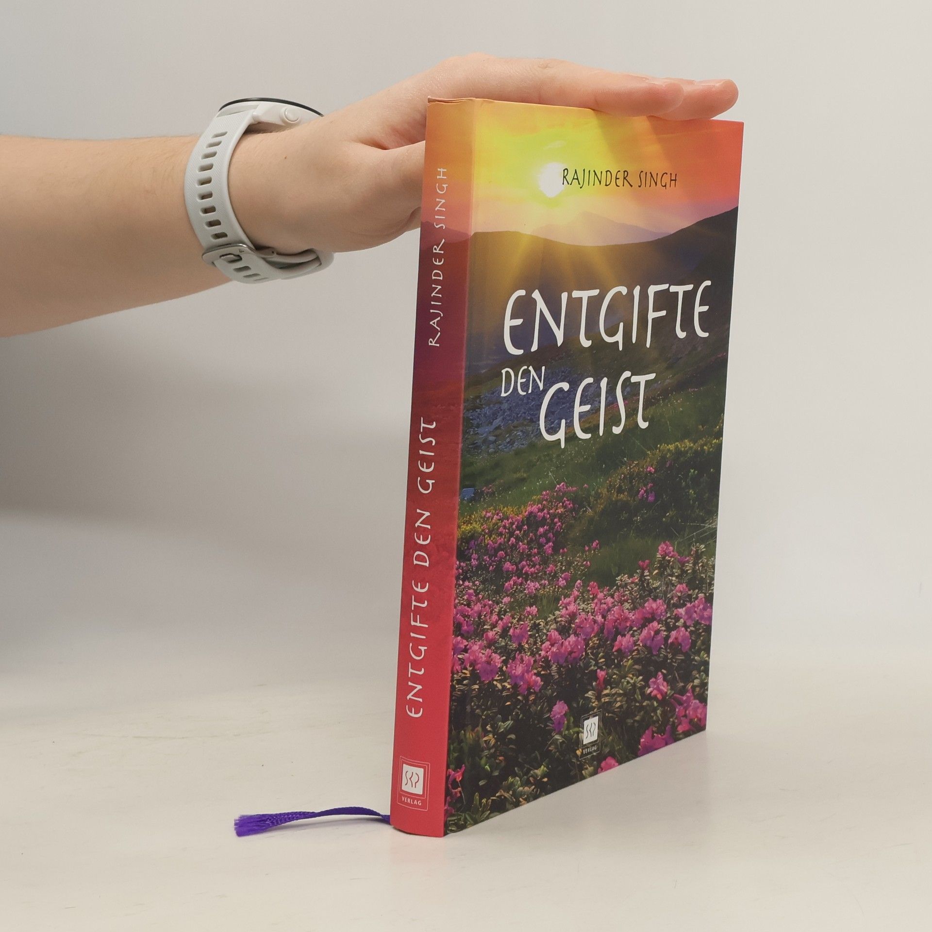 Rajinder Singh Entgifte den Geist