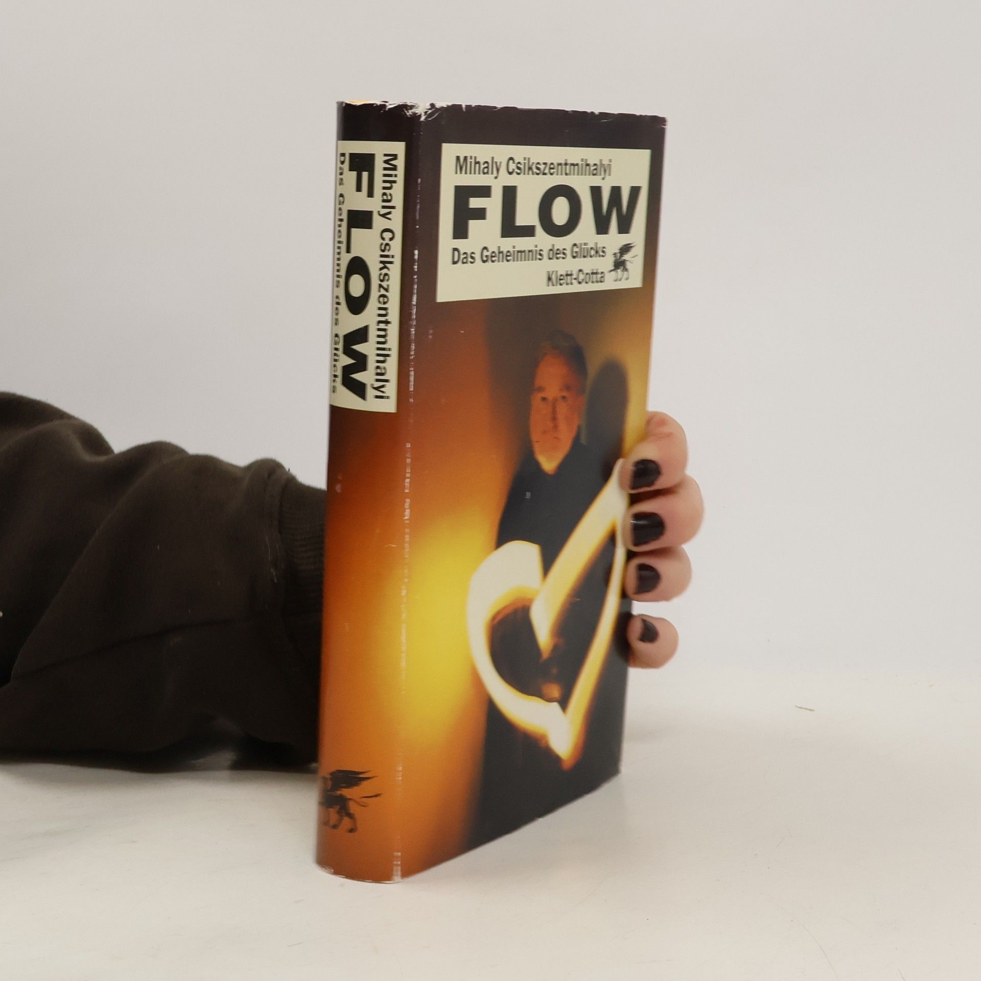 Mihaly Csikszentmihalyi FLOW Das Geheimnis des Glücks