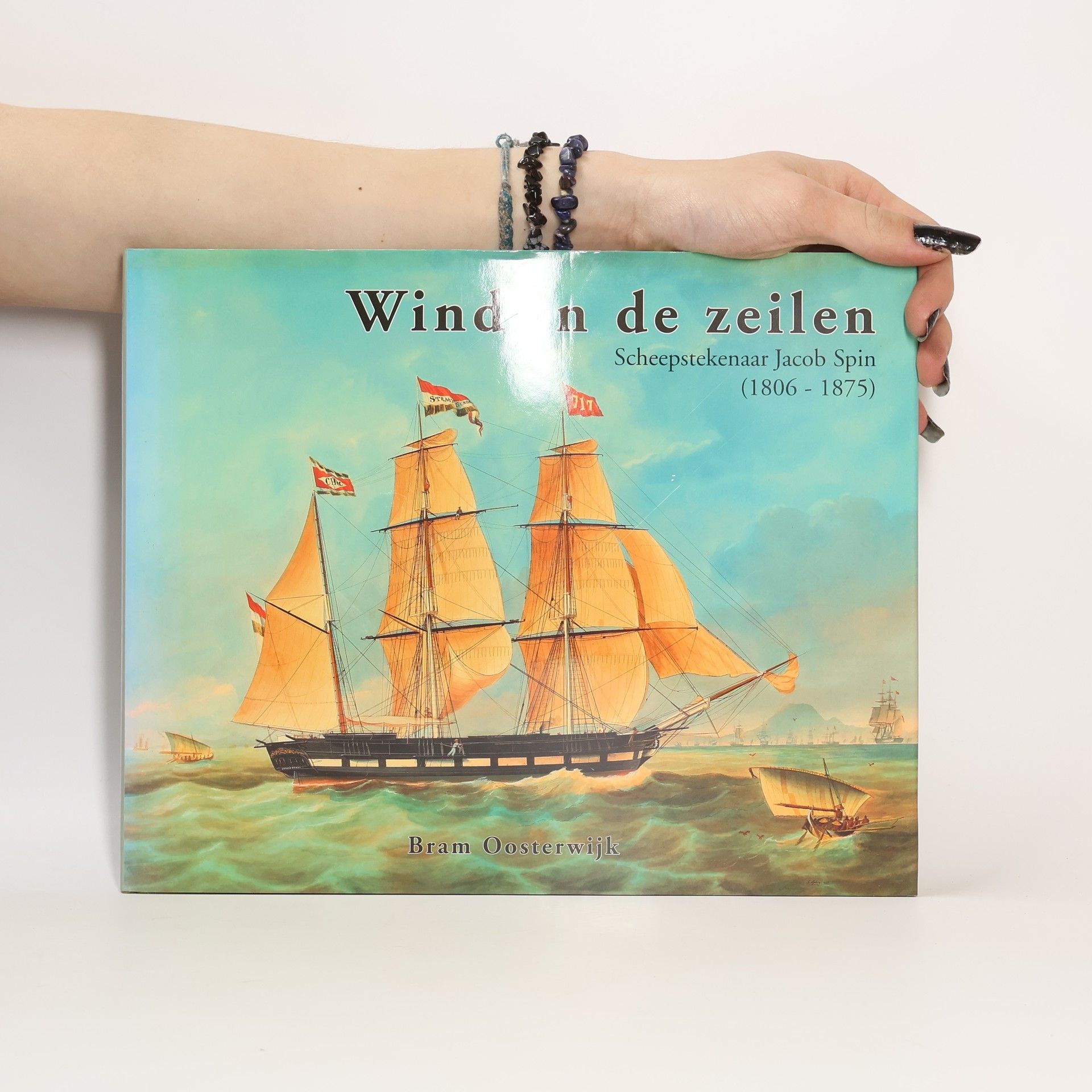 Bram Oosterwijk Wind in de zeilen