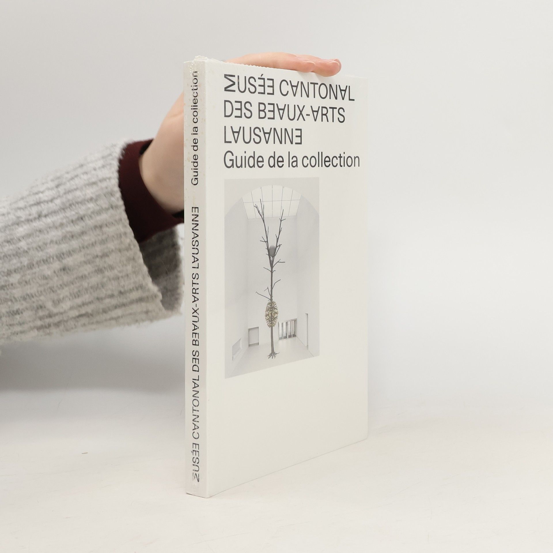 Bernard Fibicher Musée Cantonal des Beaux-Arts de Lausanne