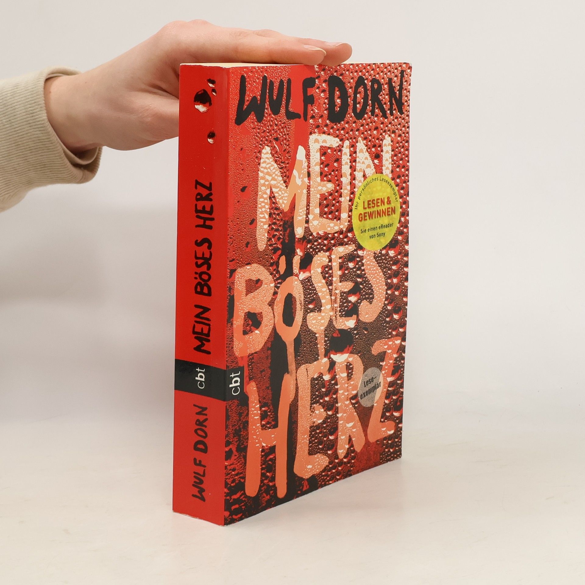 Wulf Dorn Mein böses Herz