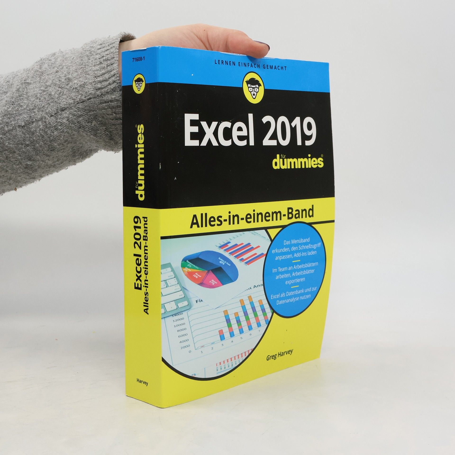 Greg Harvey Excel 2019 Alles-in-einem-Band für Dummies