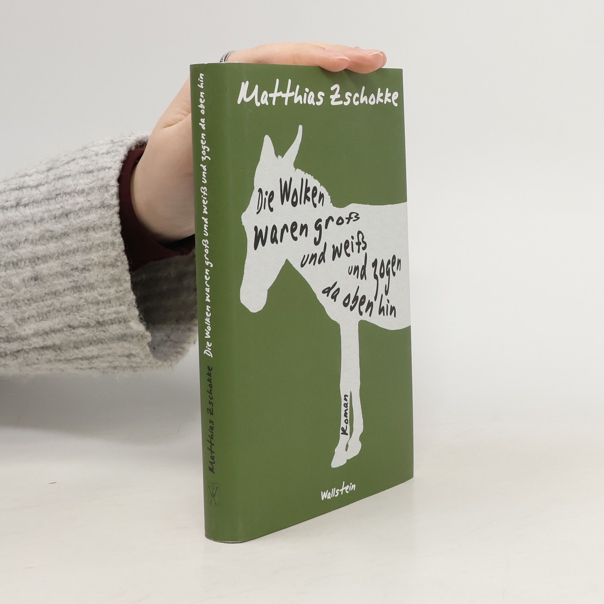 Matthias Zschokke Die Wolken waren groß und weiß und zogen da oben hin