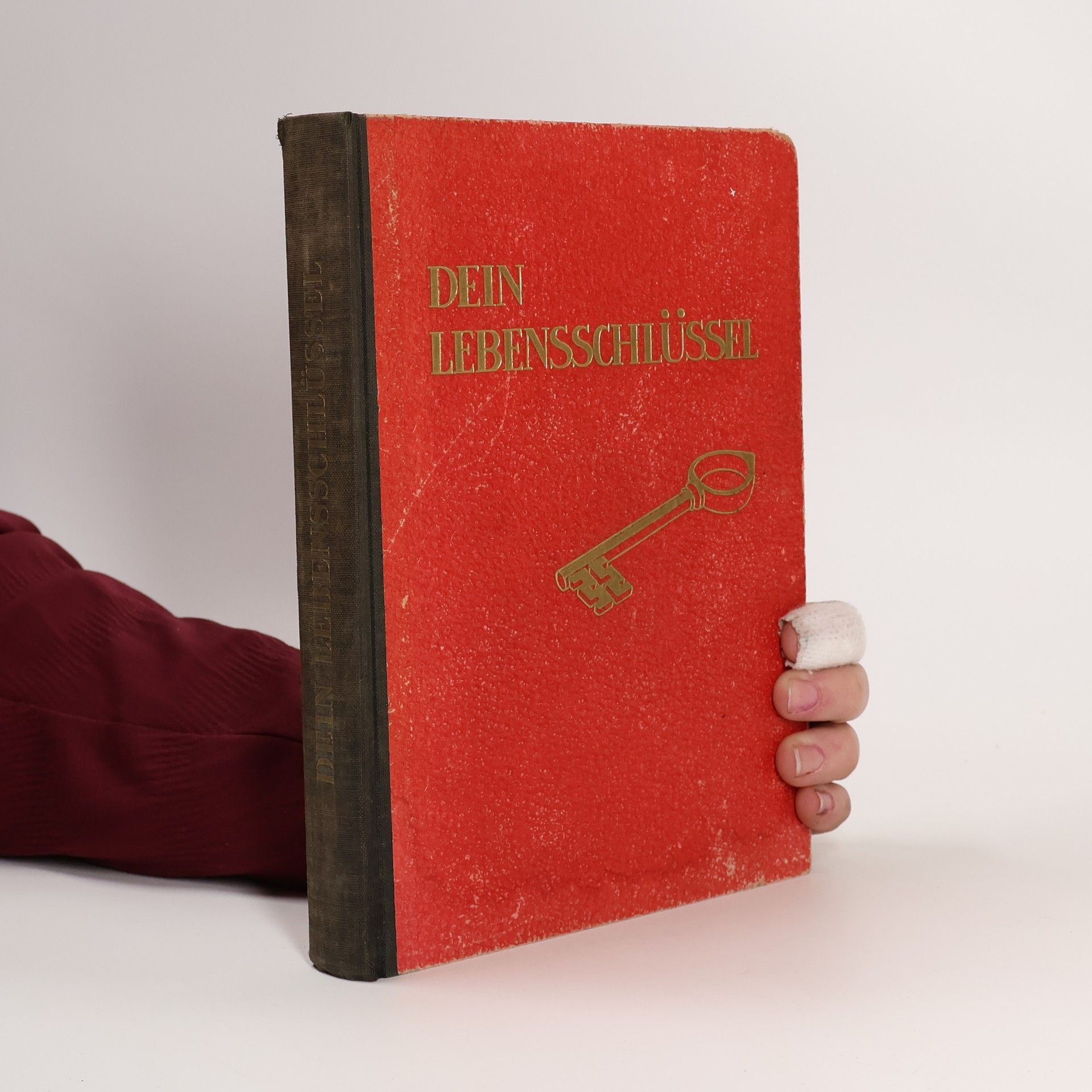 Heinz Lottermoser Dein Lebensschlüssel