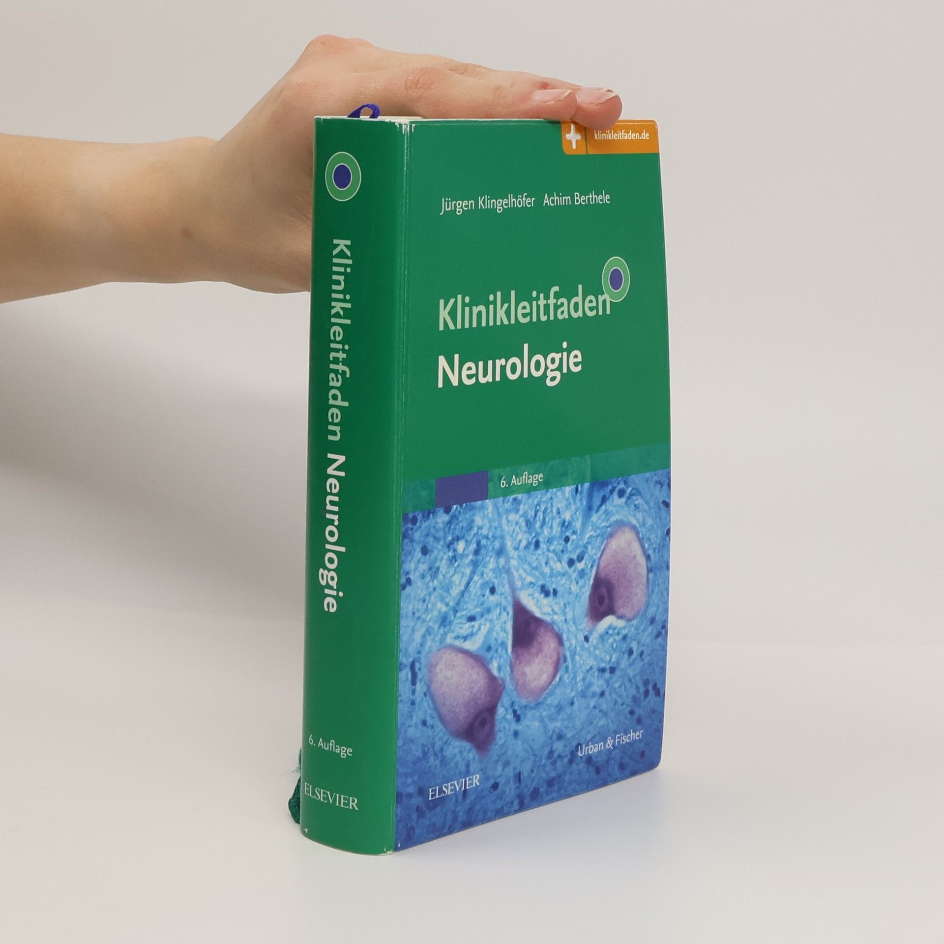 Autorenkollektiv Klinikleitfaden Neurologie