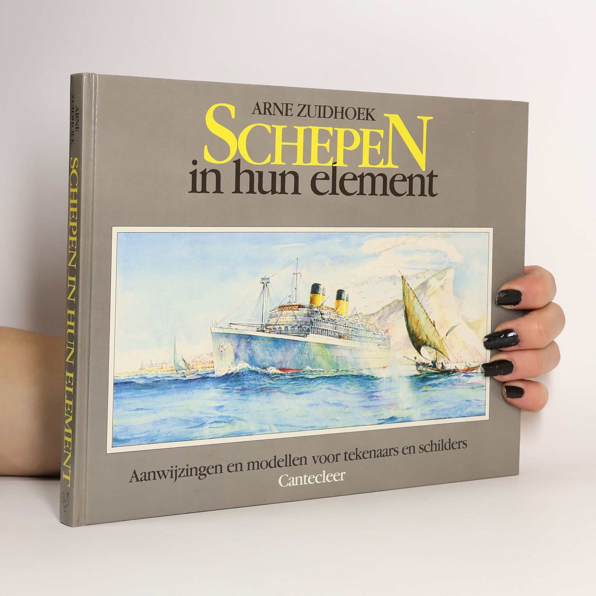 Arne Zuidhoek Schepen in hun element