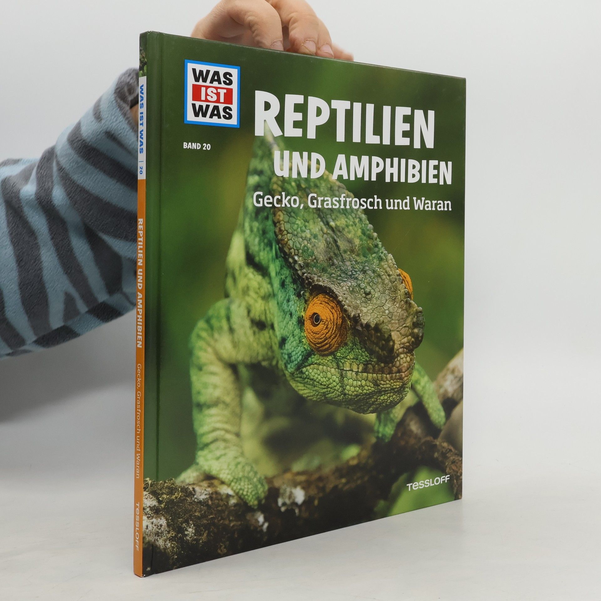 Autorenkollektiv Reptilien und Amphibien. Gecko, Grasfrosch und Waran