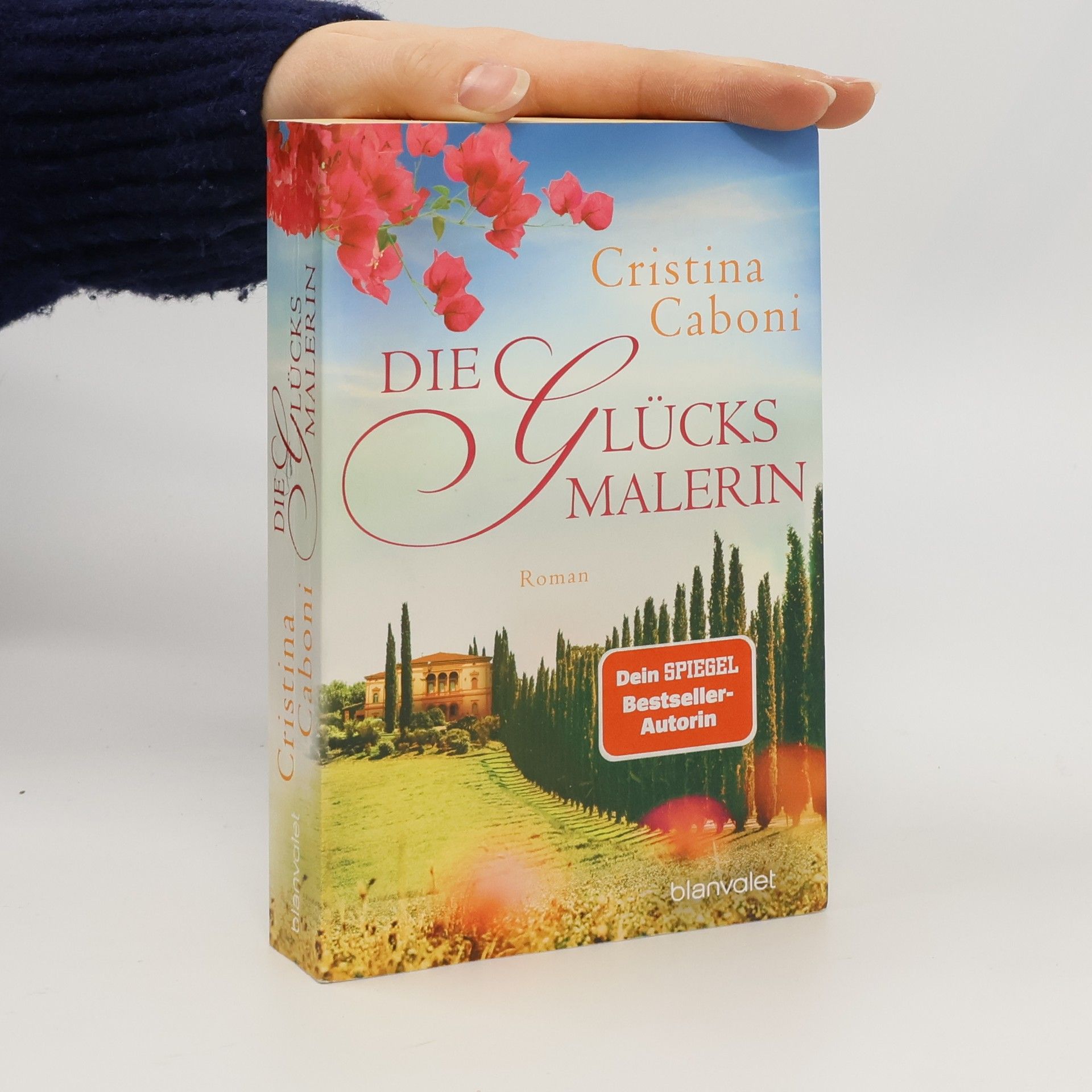 Cristina Caboni Die Glücksmalerin