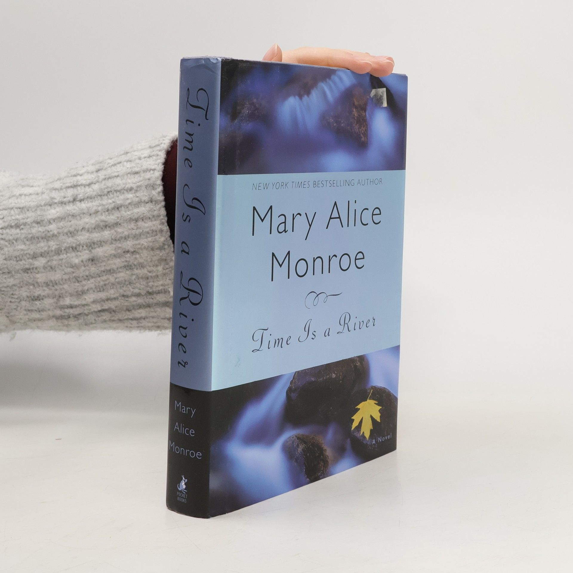 Mary Alice Monroe Time Is a River