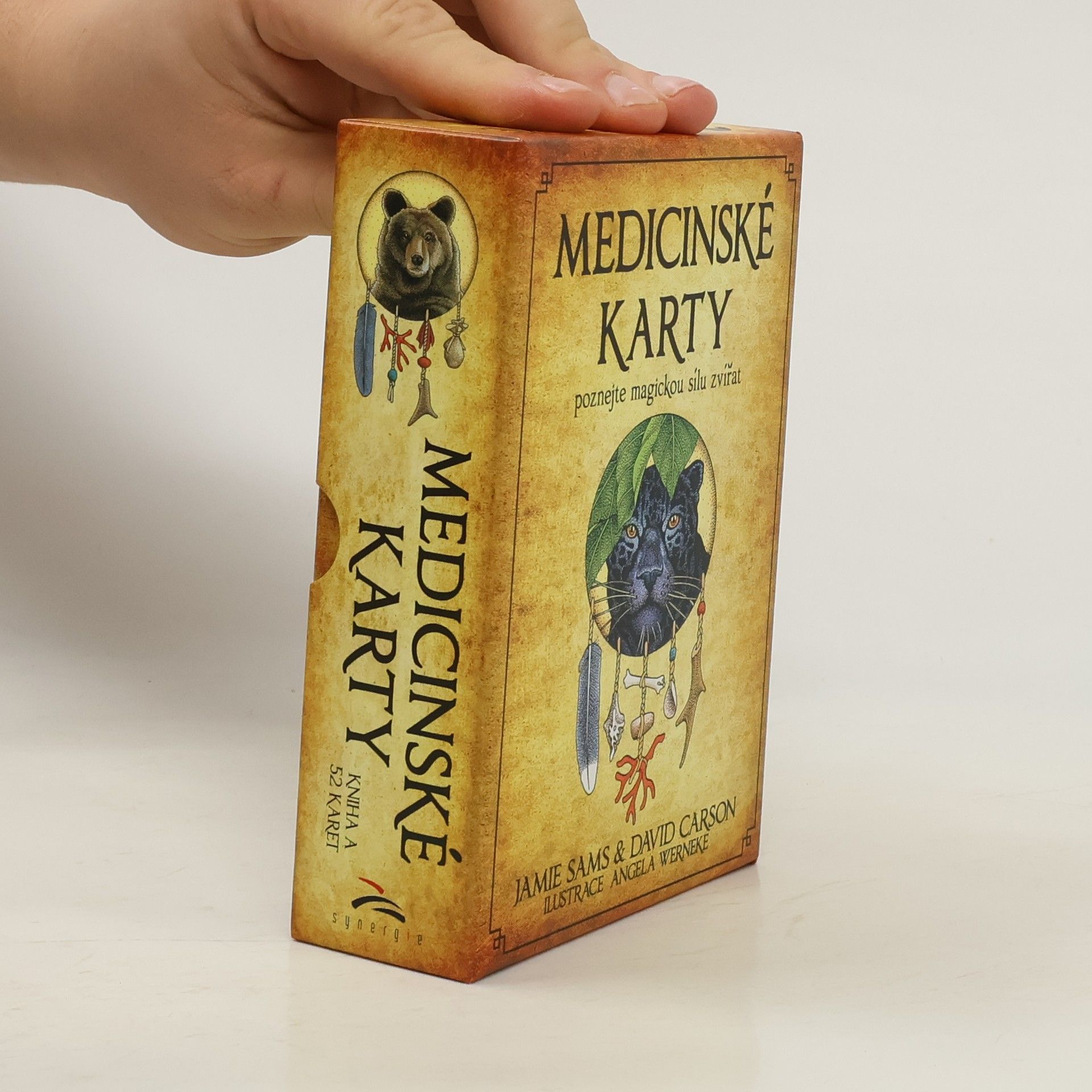 Jamie Sams Medicinské karty : poznejte magickou sílu zvířat
