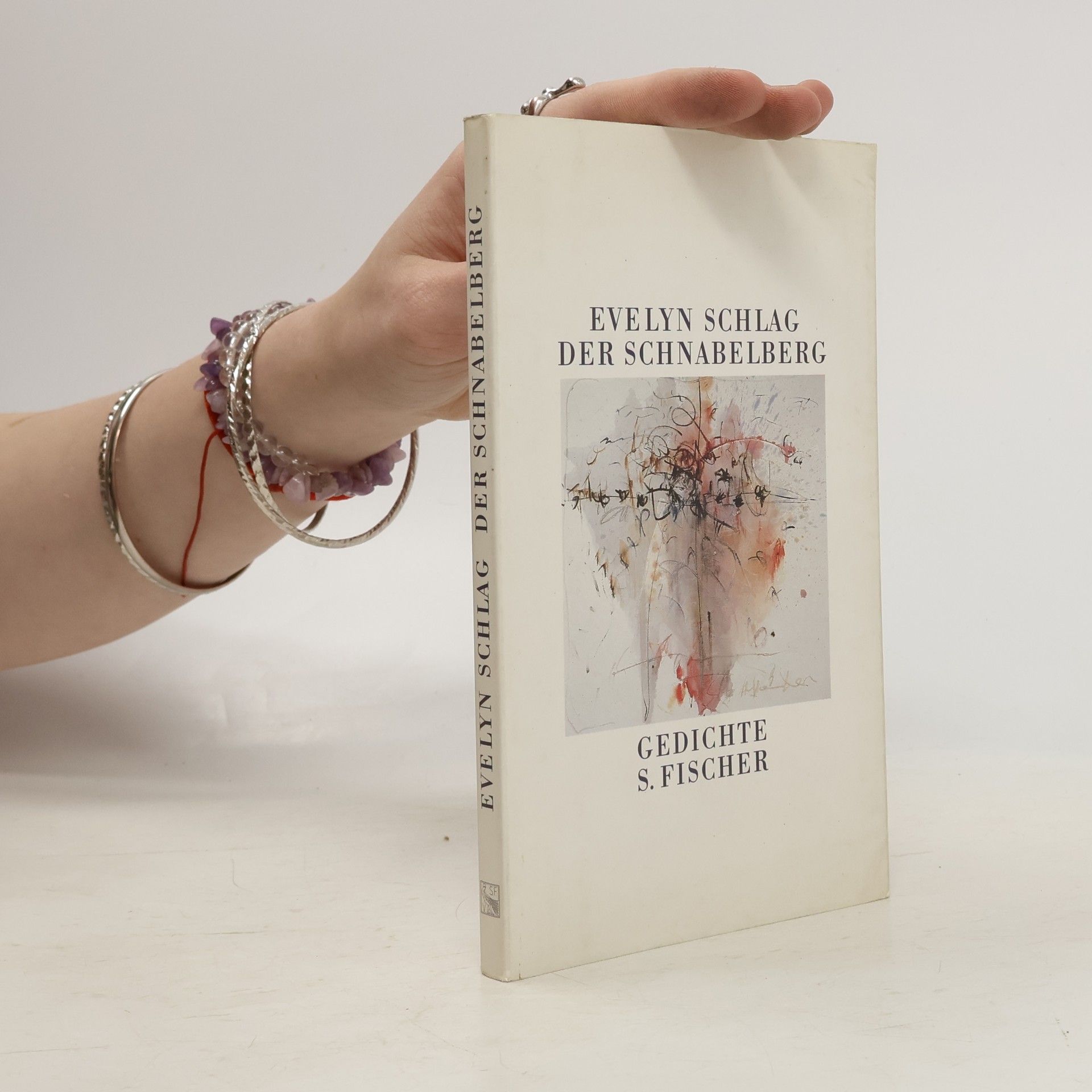 Evelyn Schlag Der Schnabelberg. Gedichte