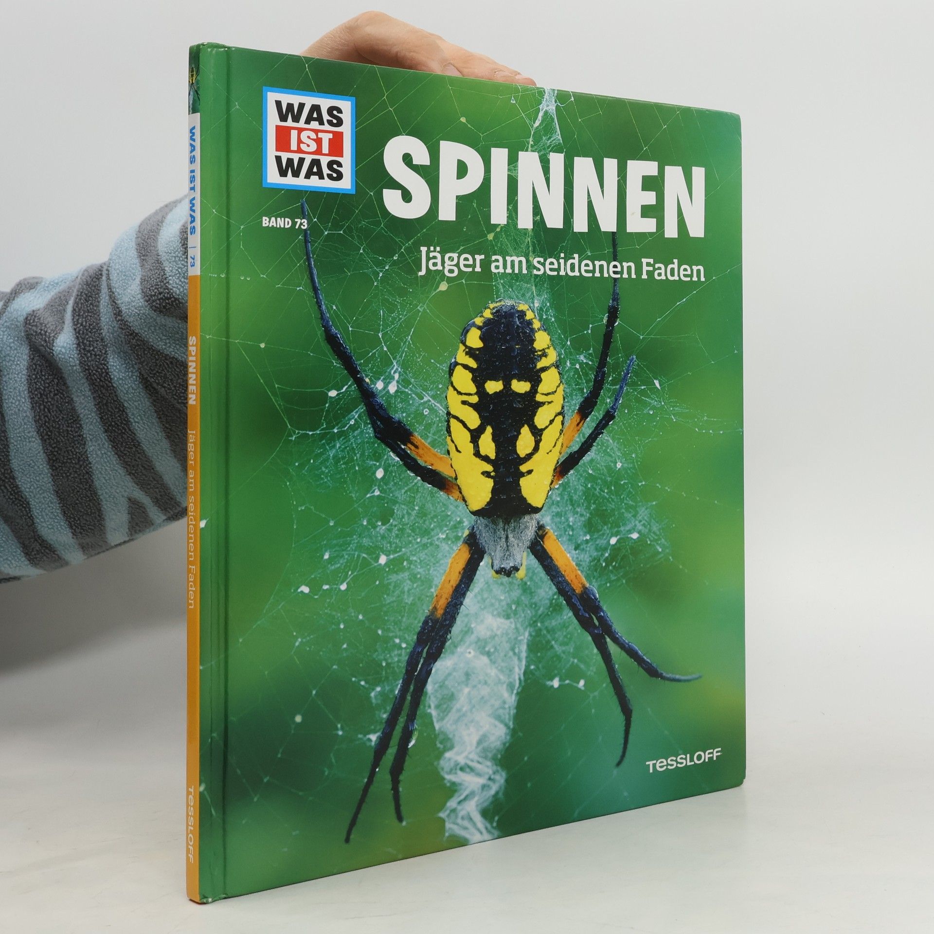 Alexandra Rigos Spinnen