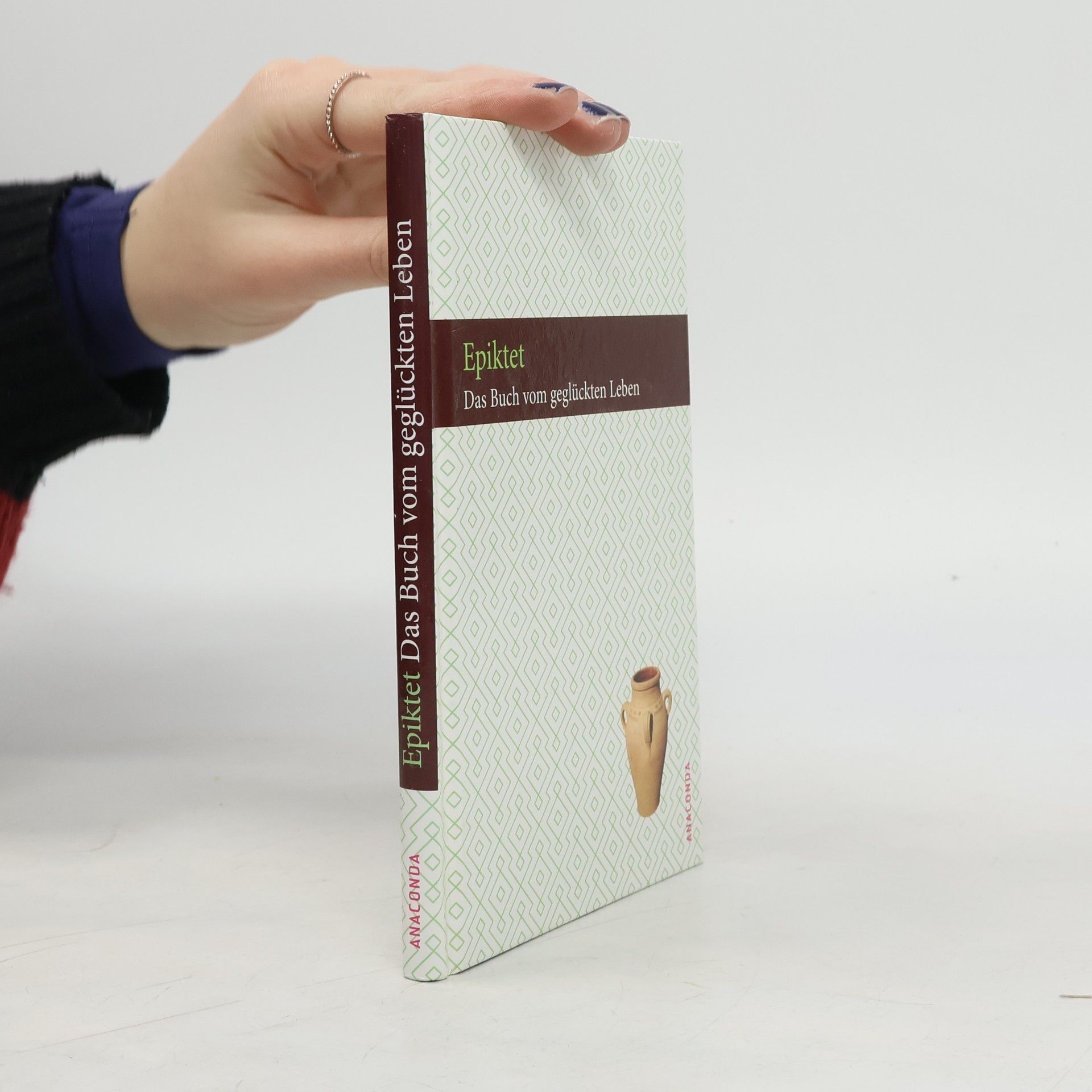 Philipp Conz Das Buch vom geglückten Leben