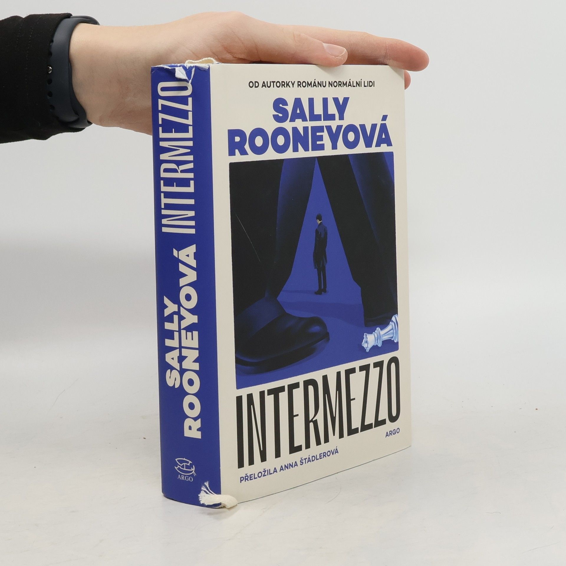 Sally Rooney Intermezzo