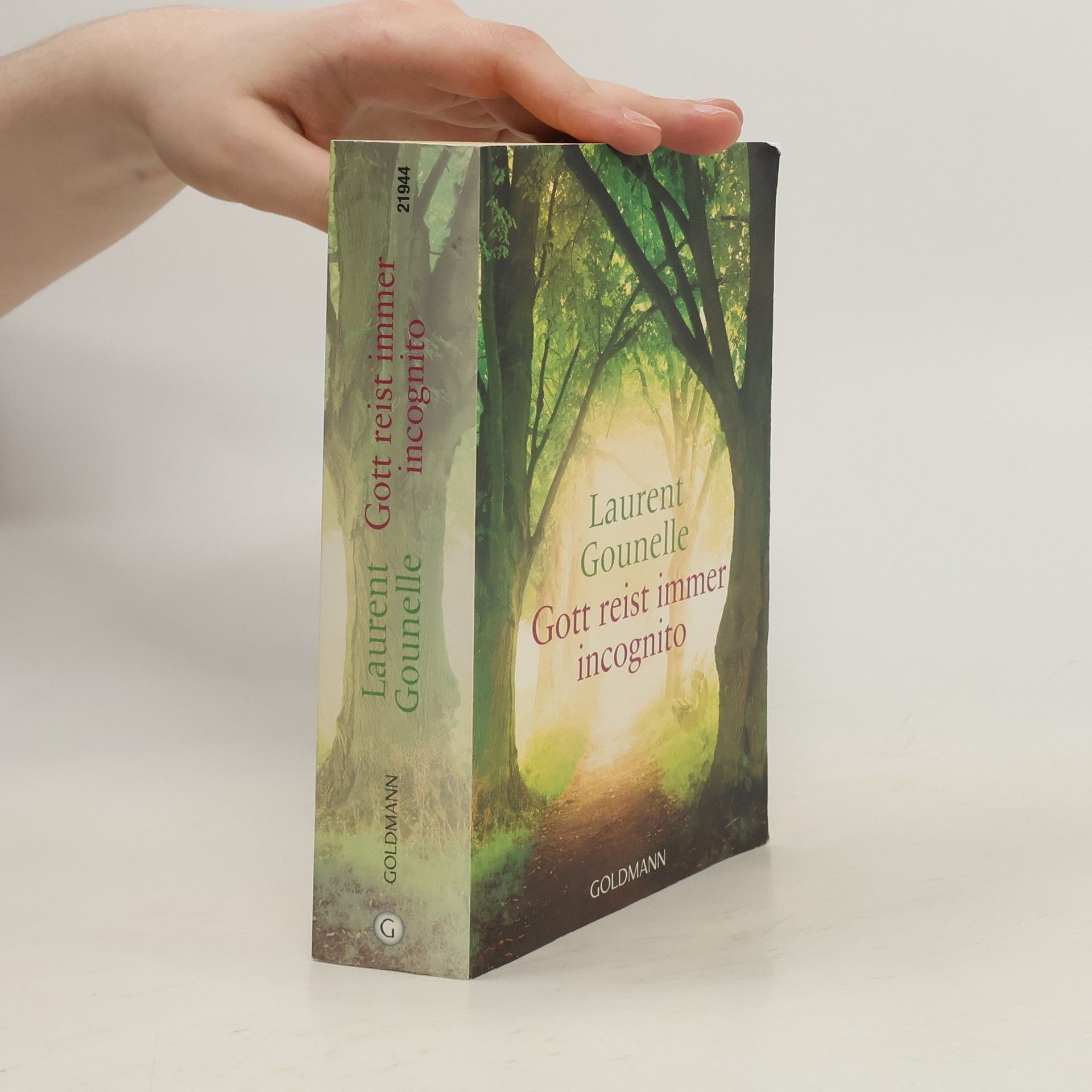 Laurent Gounelle Gott reist immer incognito