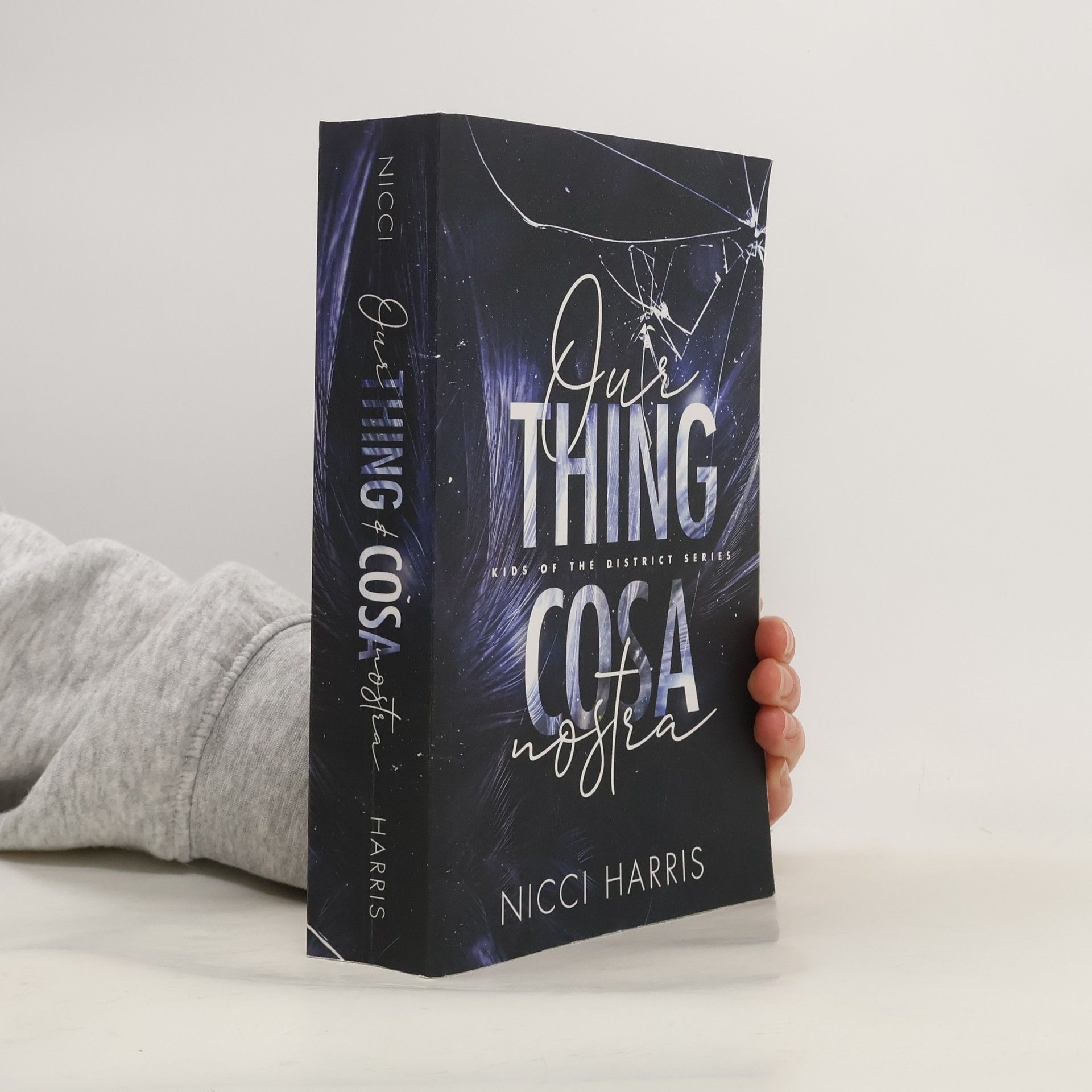 Nicci Harris Our Thing