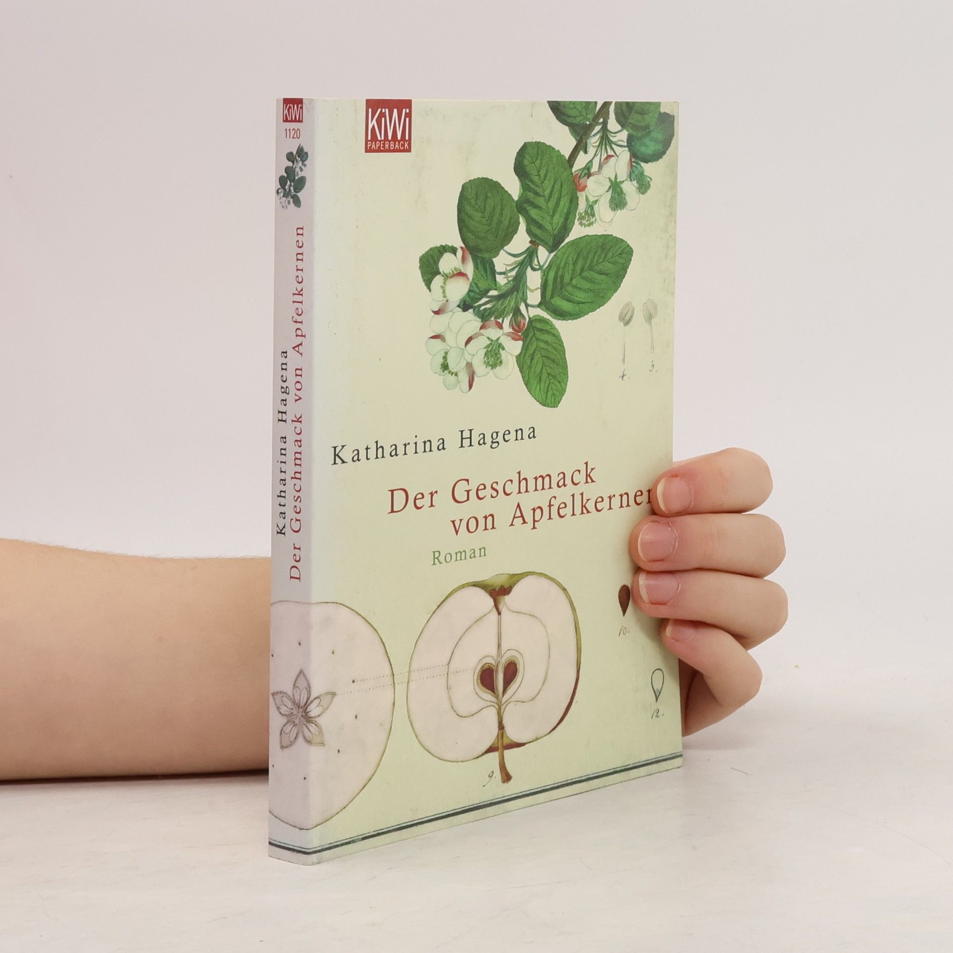 Katharina Hagena Der Geschmack von Apfelkernen