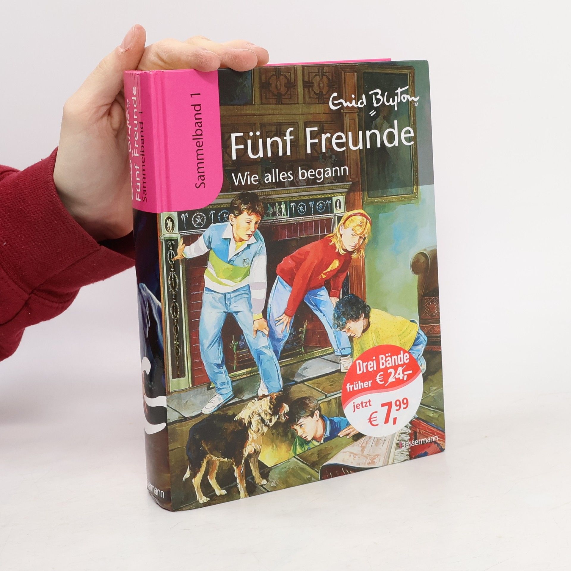 Werner Lincke Fünf Freunde: Wie alles begann