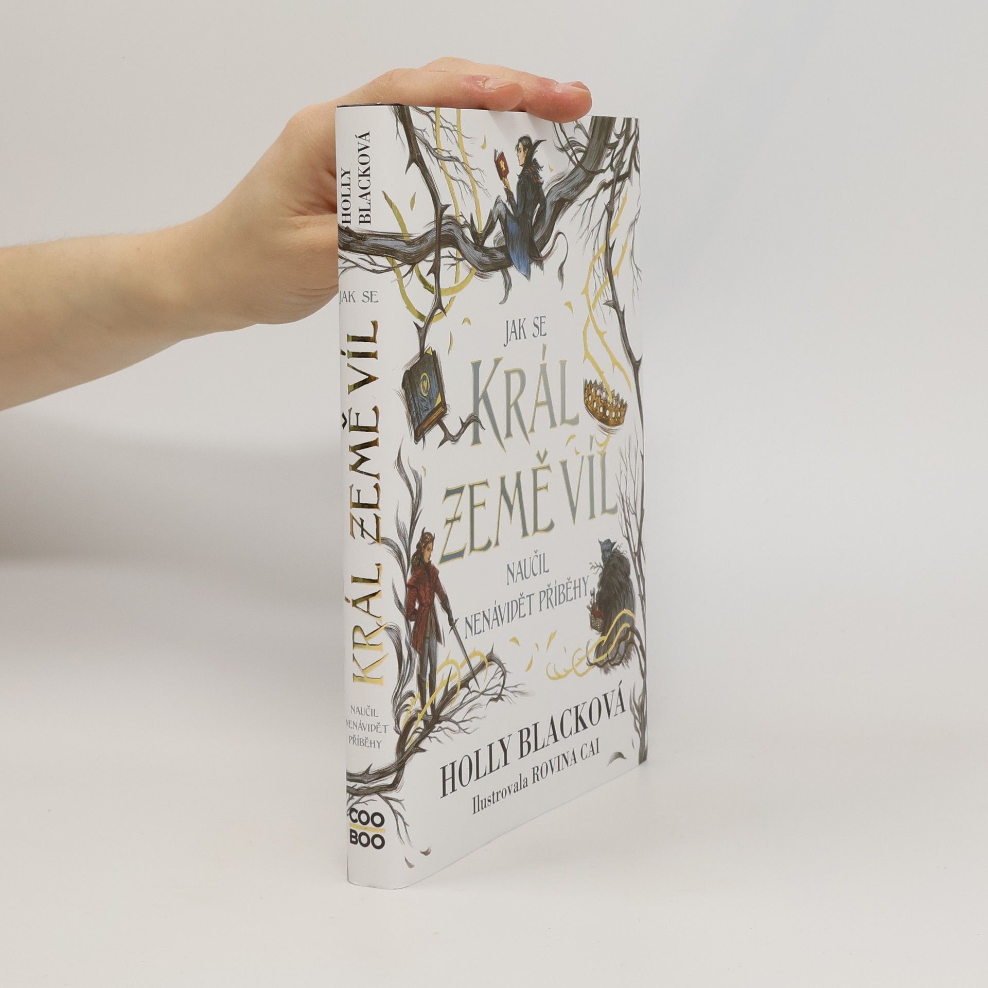 Holly Black Jak se král Země víl naučil nenávidět příběhy