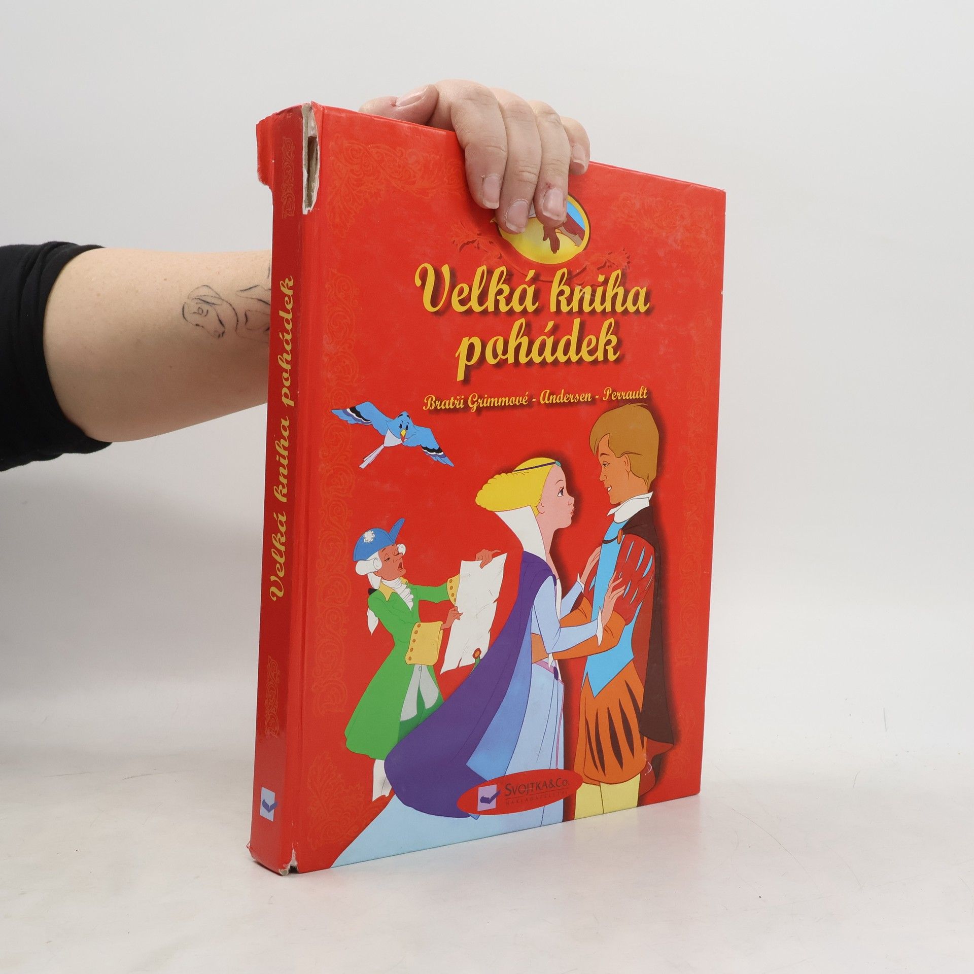 Wilhelm Grimm Velká kniha pohádek