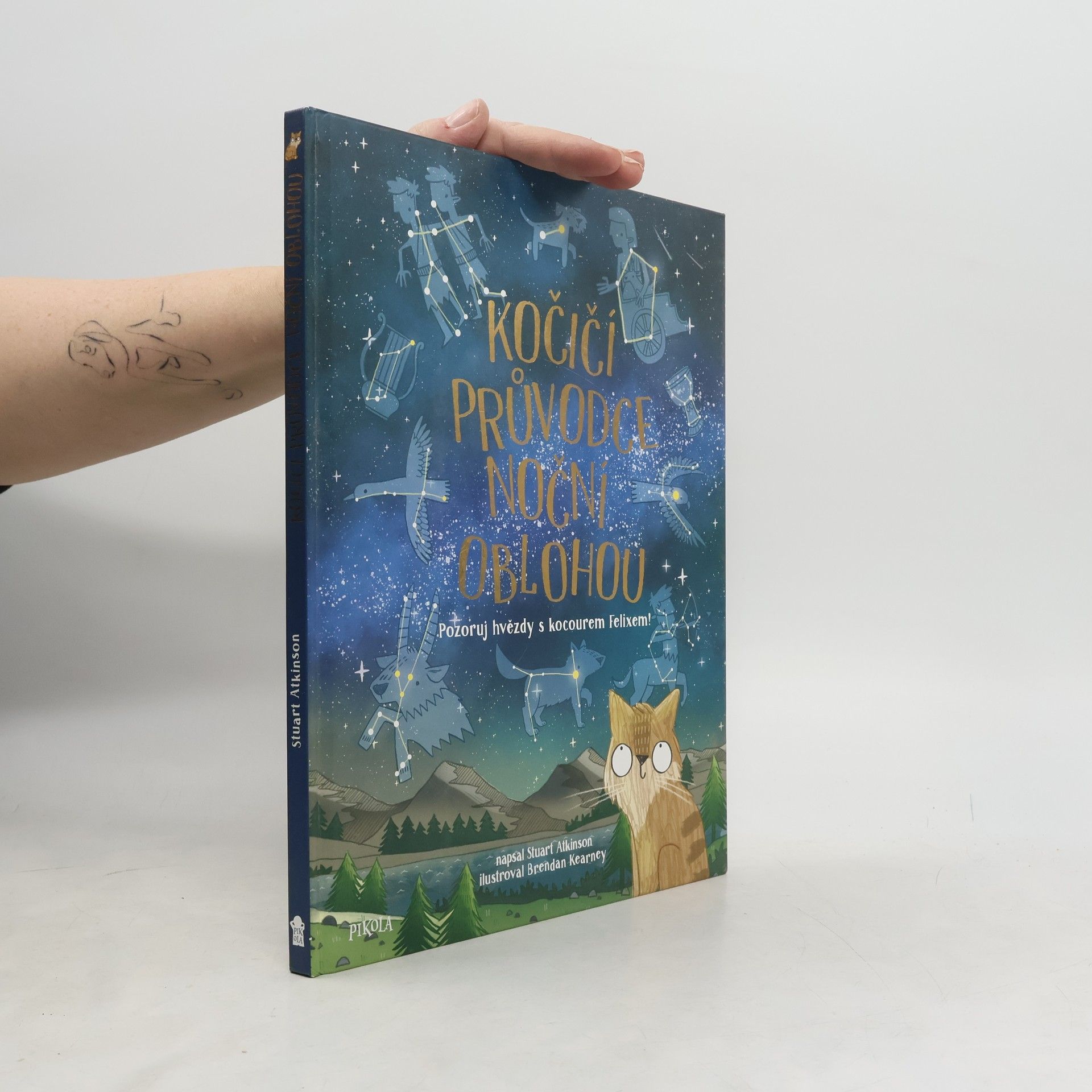 Kočičí průvodce noční oblohou - Pozoruj hvězdy s kocourem Felixem!