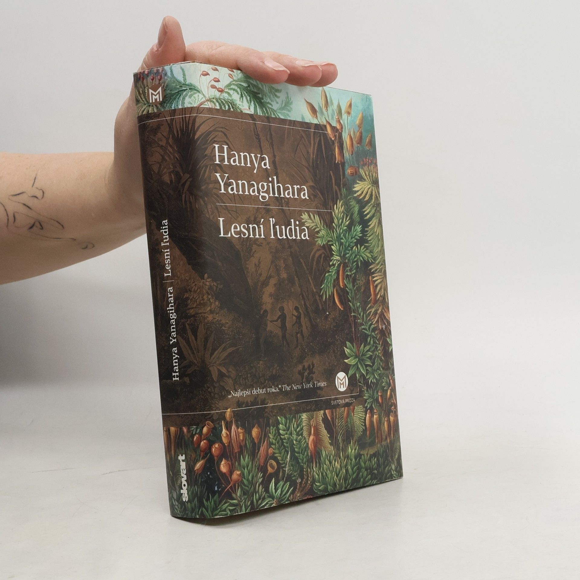 Hanya Yanagihara Lesní ľudia