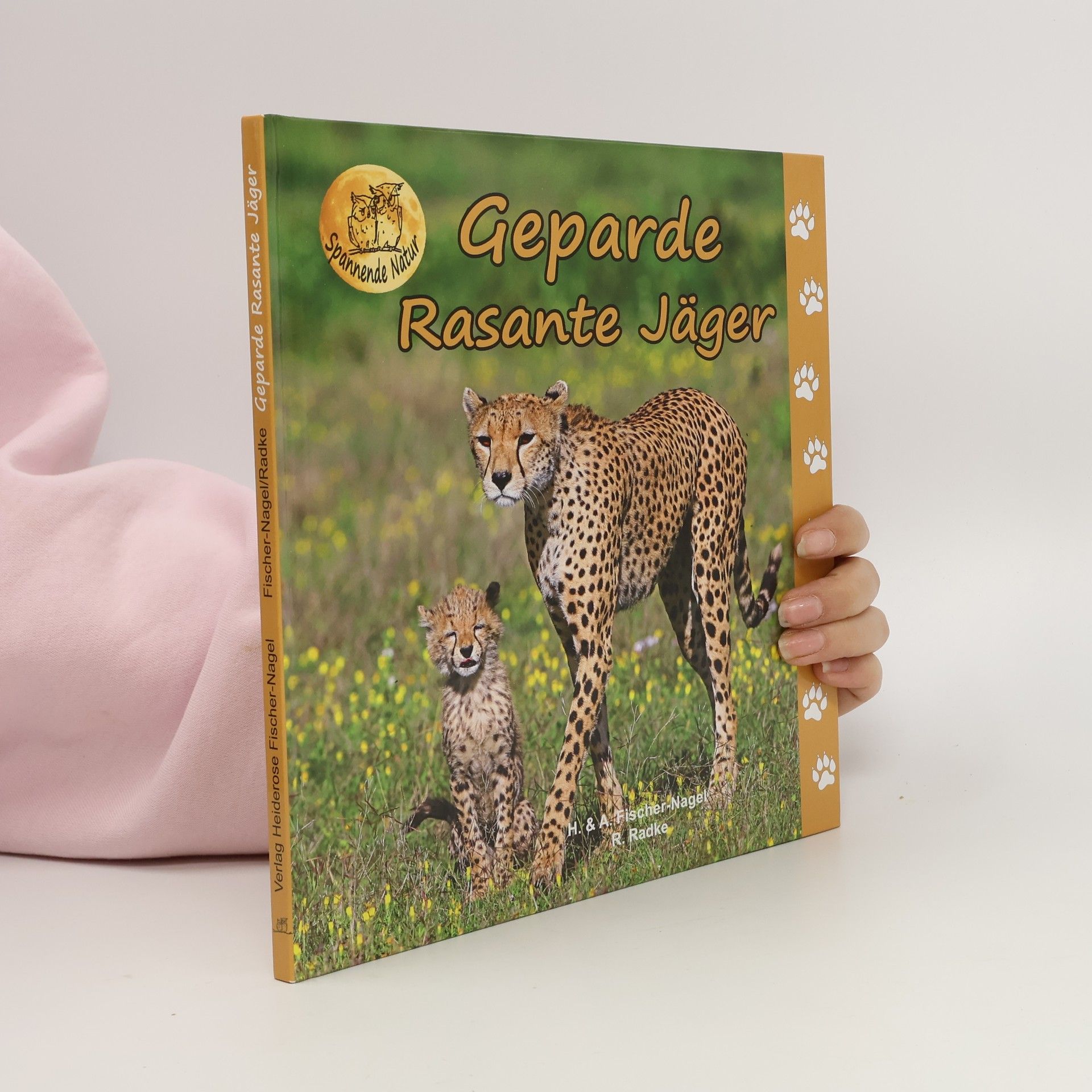 Spannende Natur: Geparde