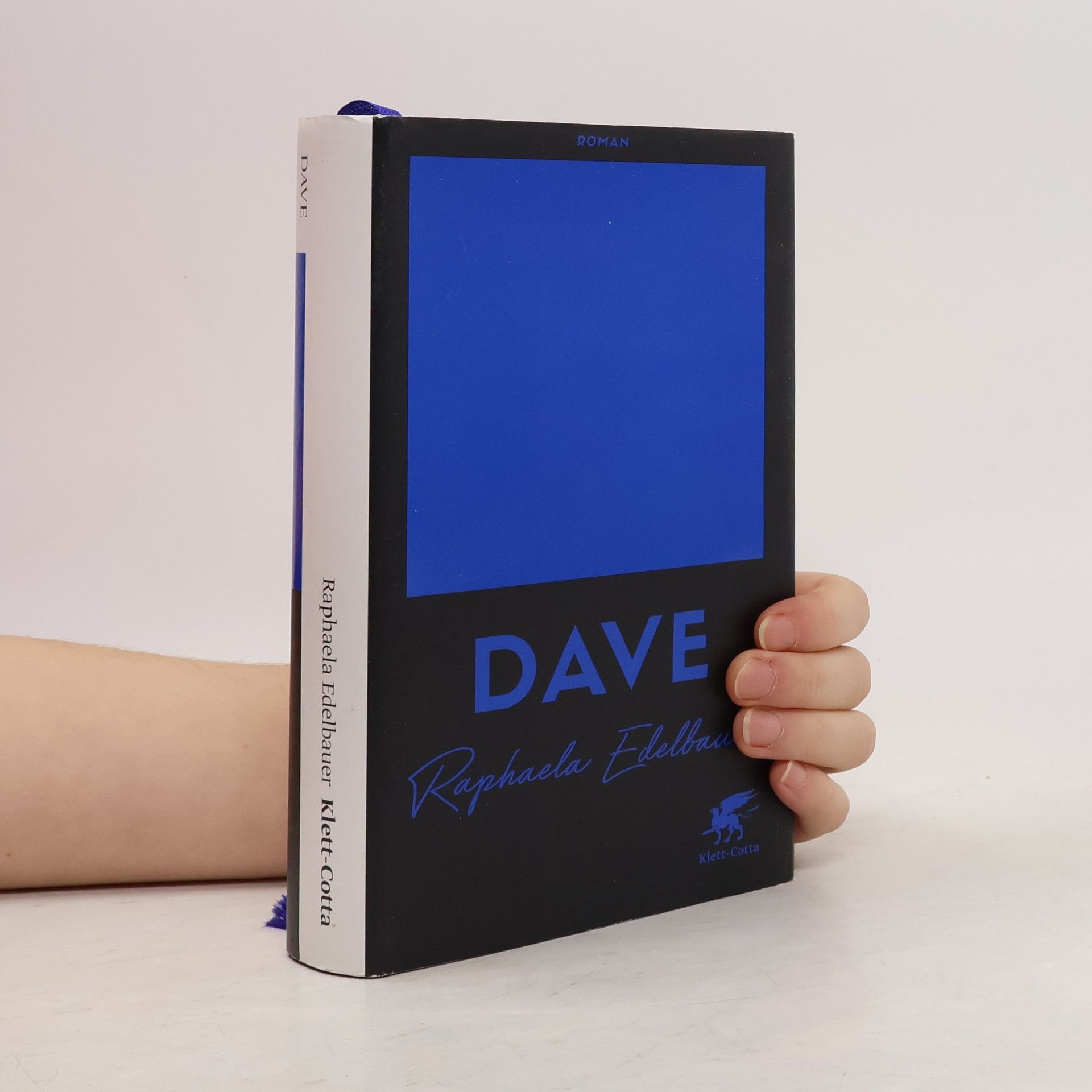 Raphaela Edelbauer Dave