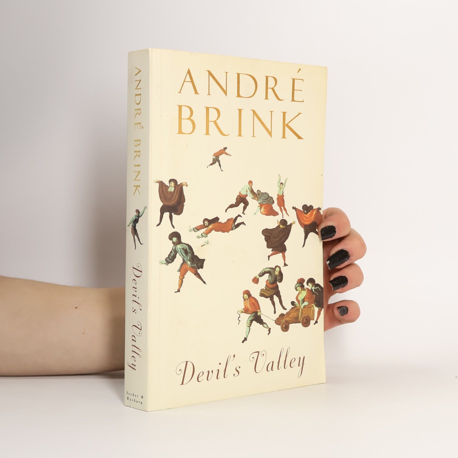 André Brink Devil's Valley