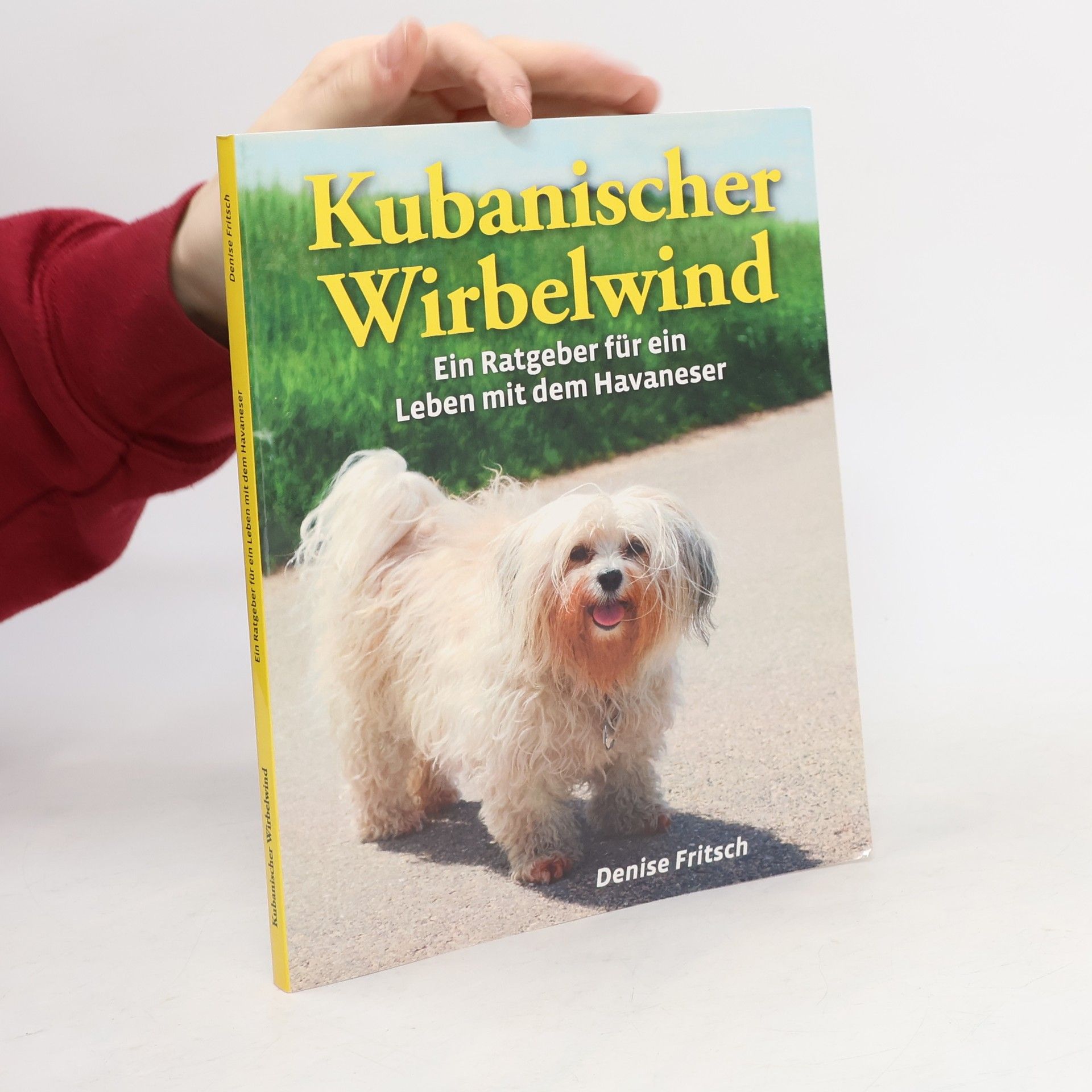 Denise Fritsch Kubanischer Wirbelwind