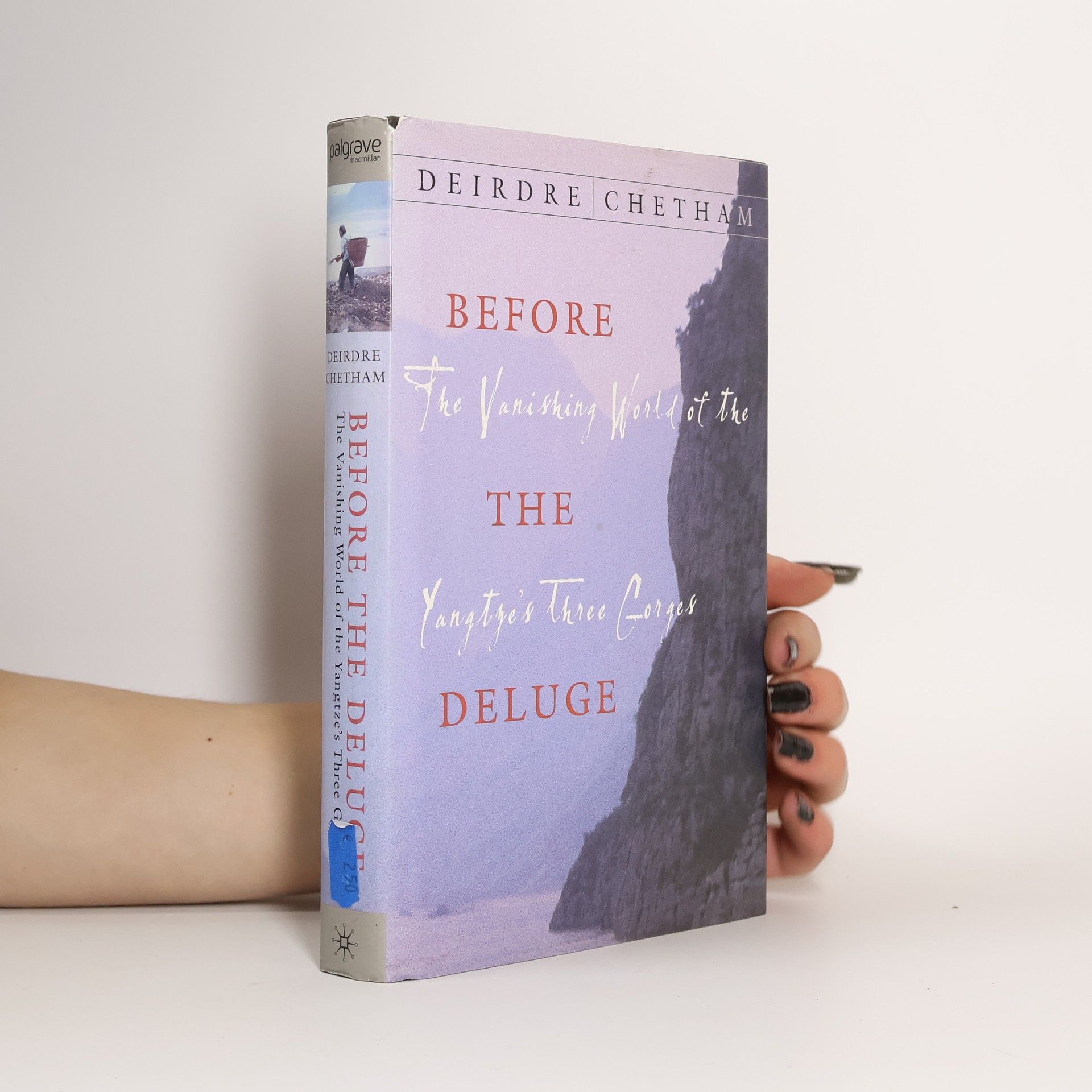 Deirdre Chetham Before the Deluge