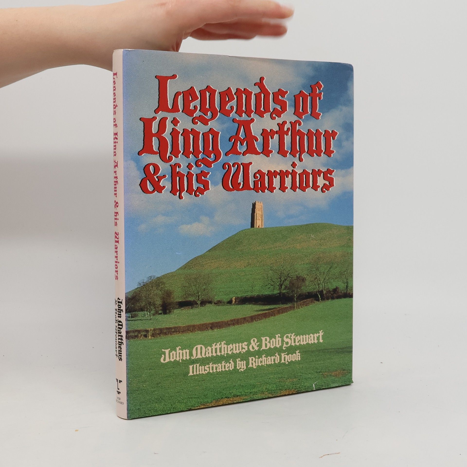 Roger Matthews Legends of King Arthur and His Warriors