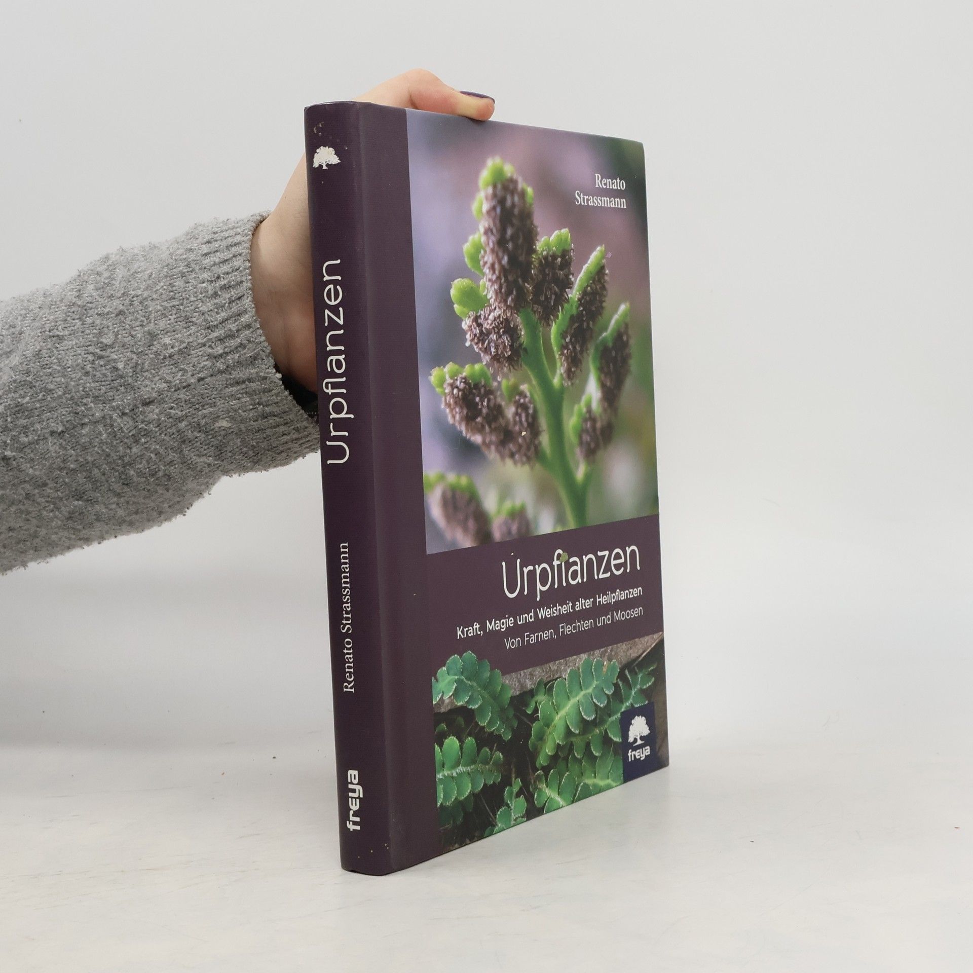 René-Anton Strassmann Urpflanzen