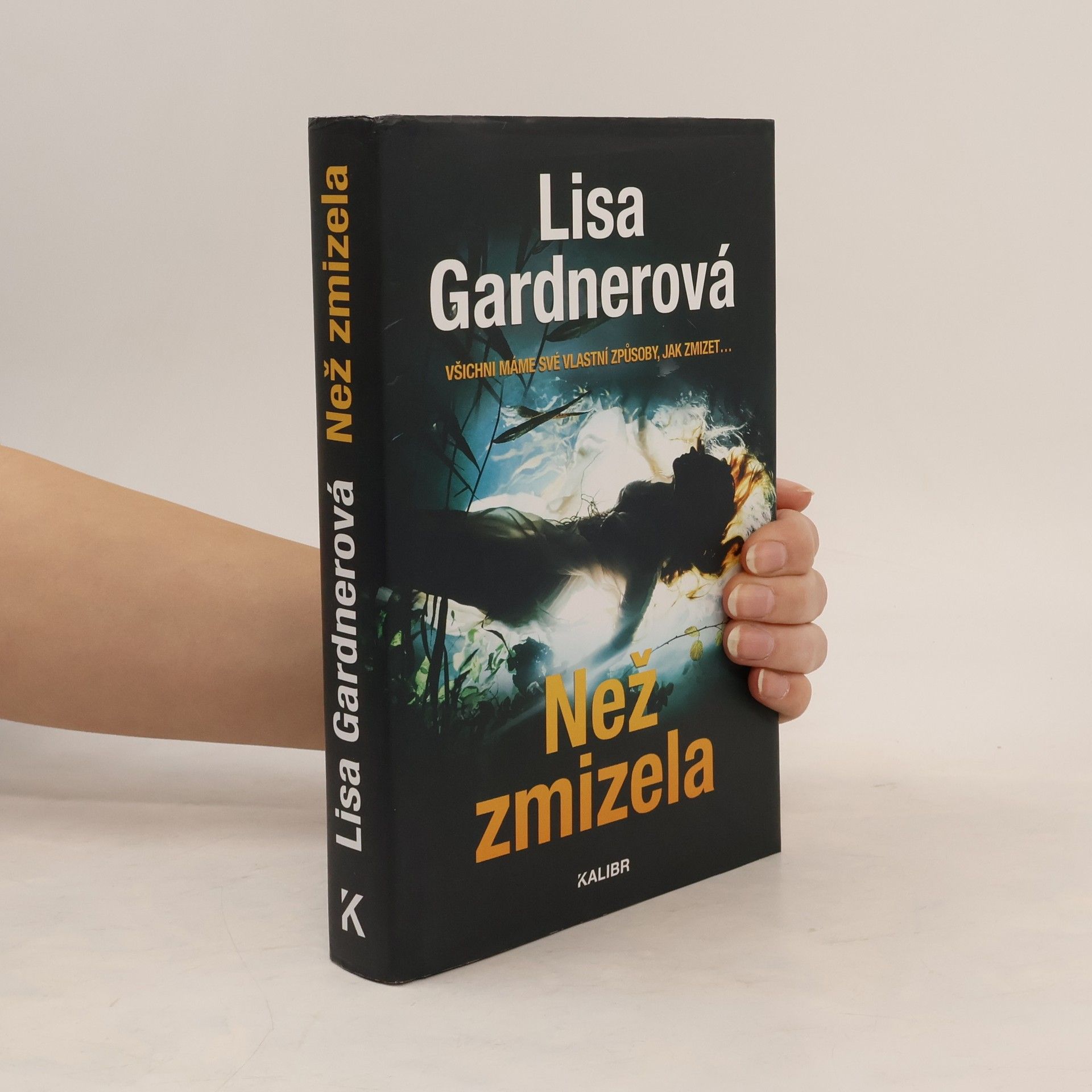 Irena Steinerová Než zmizela