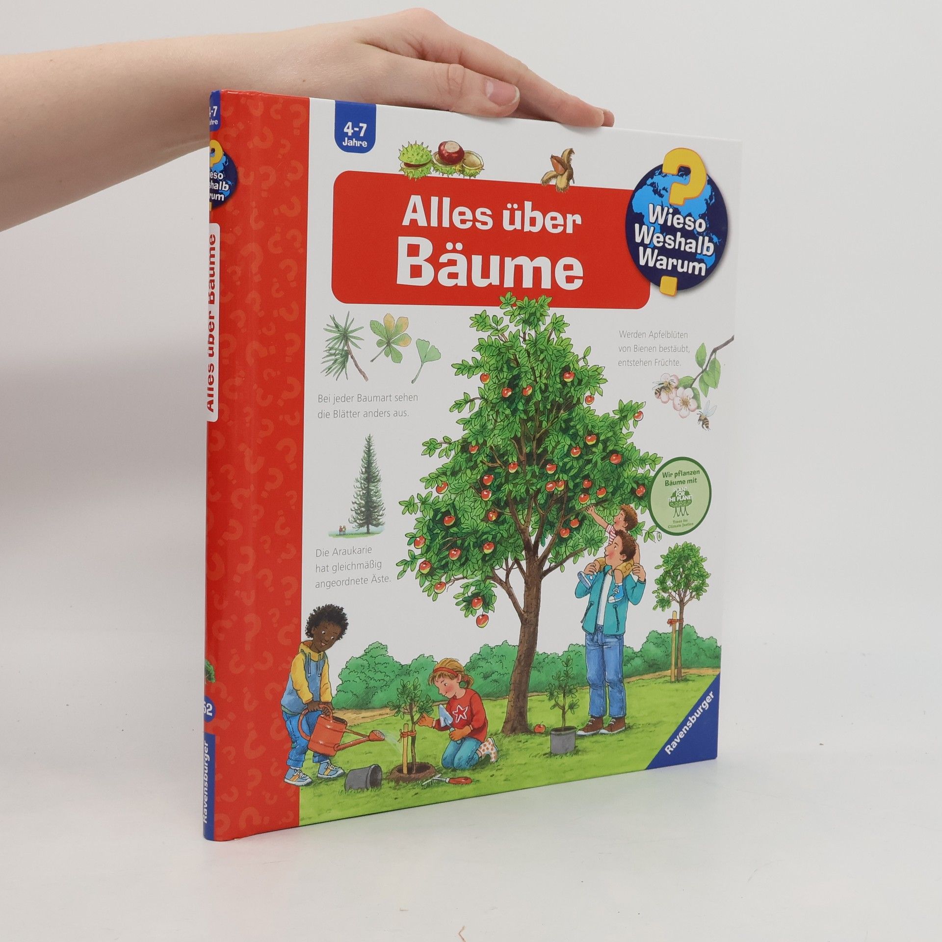 Susanne Gernhäuser Alles über Bäume