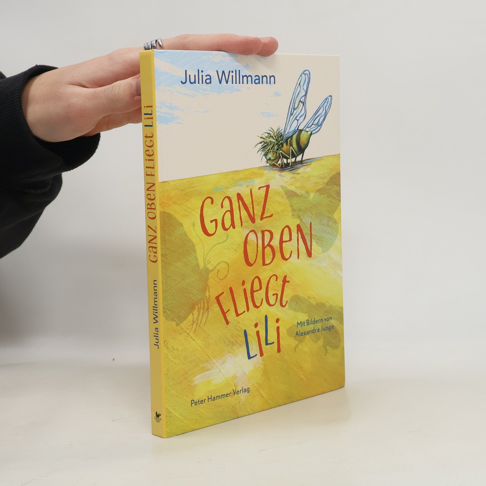 Julia Willmann Ganz oben fliegt Lili