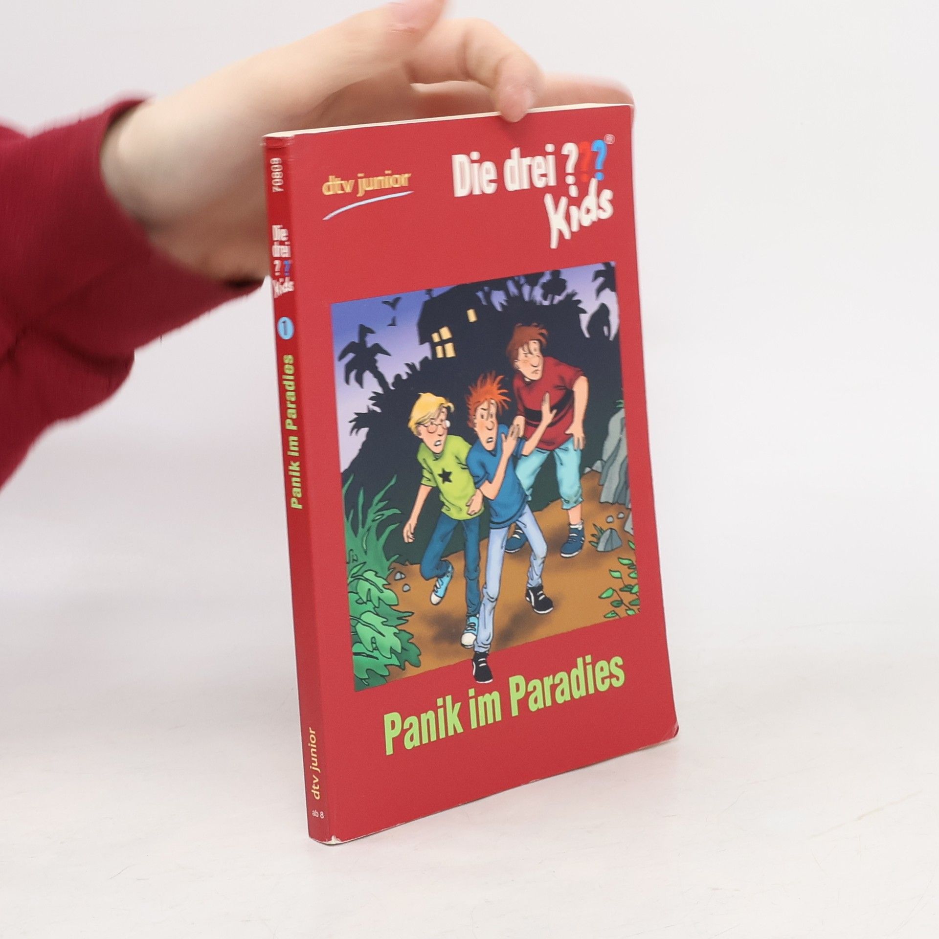 Autores varios Die drei ??? Kids 1. Panik im Paradies