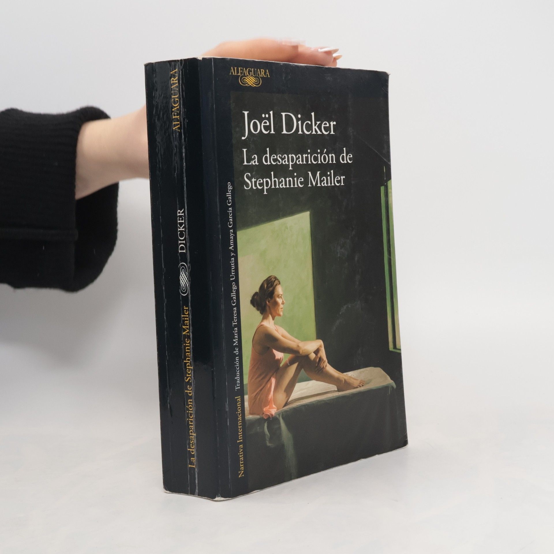 Joël Dicker La desaparición de Stephanie Mailer