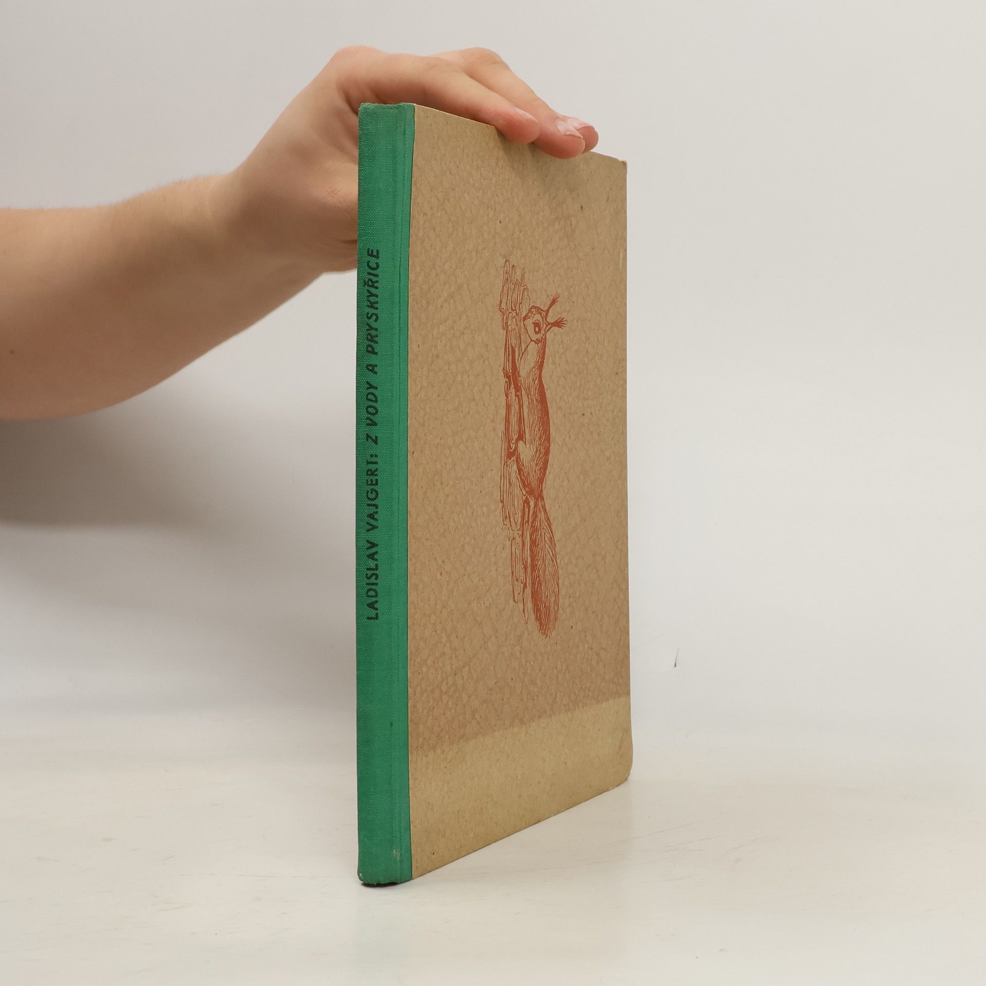 Ladislav Vajgert Z vody a pryskyřice