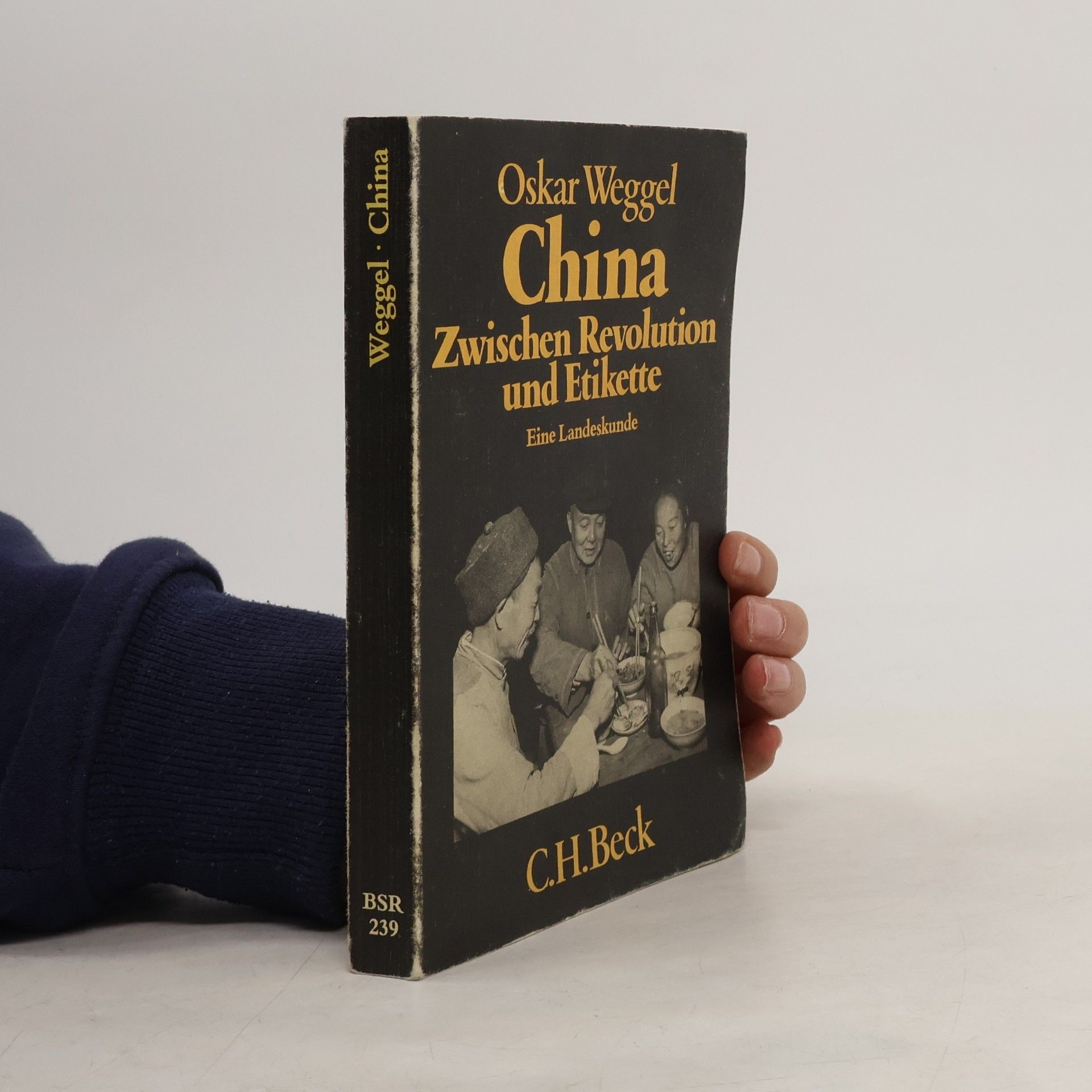 Oskar Weggel China, zwischen Revolution und Etikette